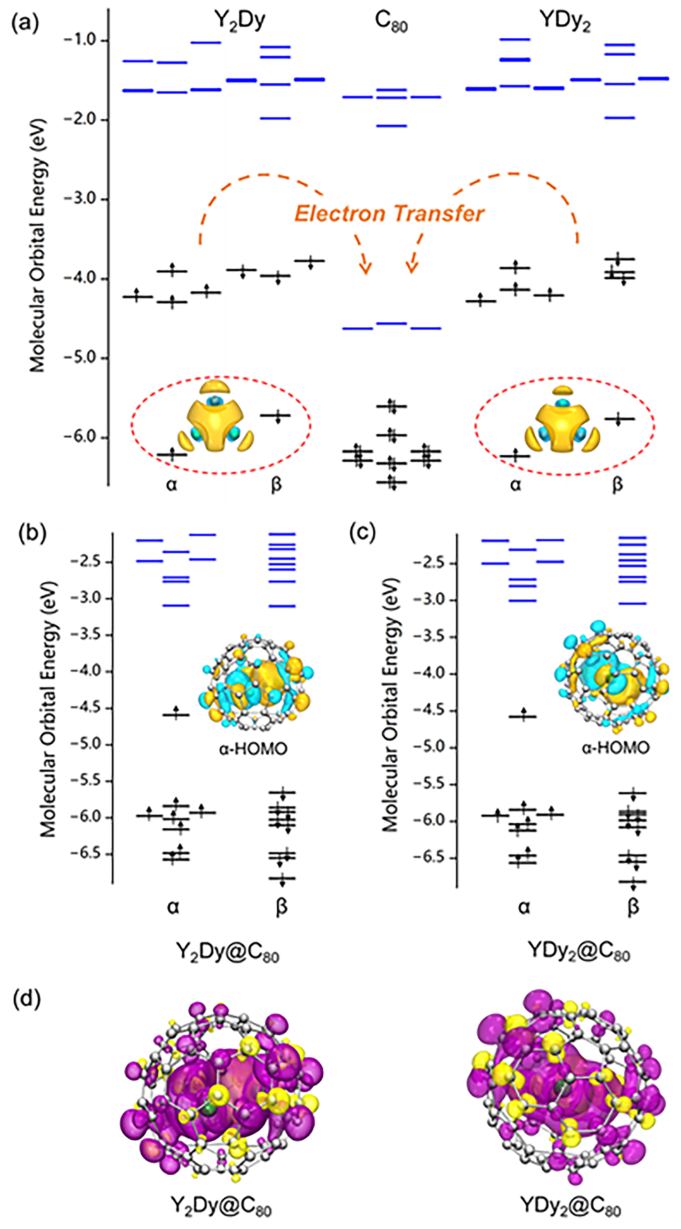 Molecules 29 00447 g003