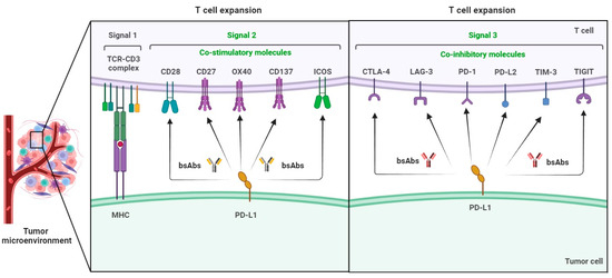 Anti-PD-L1-Based Bispecific Antibodies Targeting Co-Inhibitory and Co ...