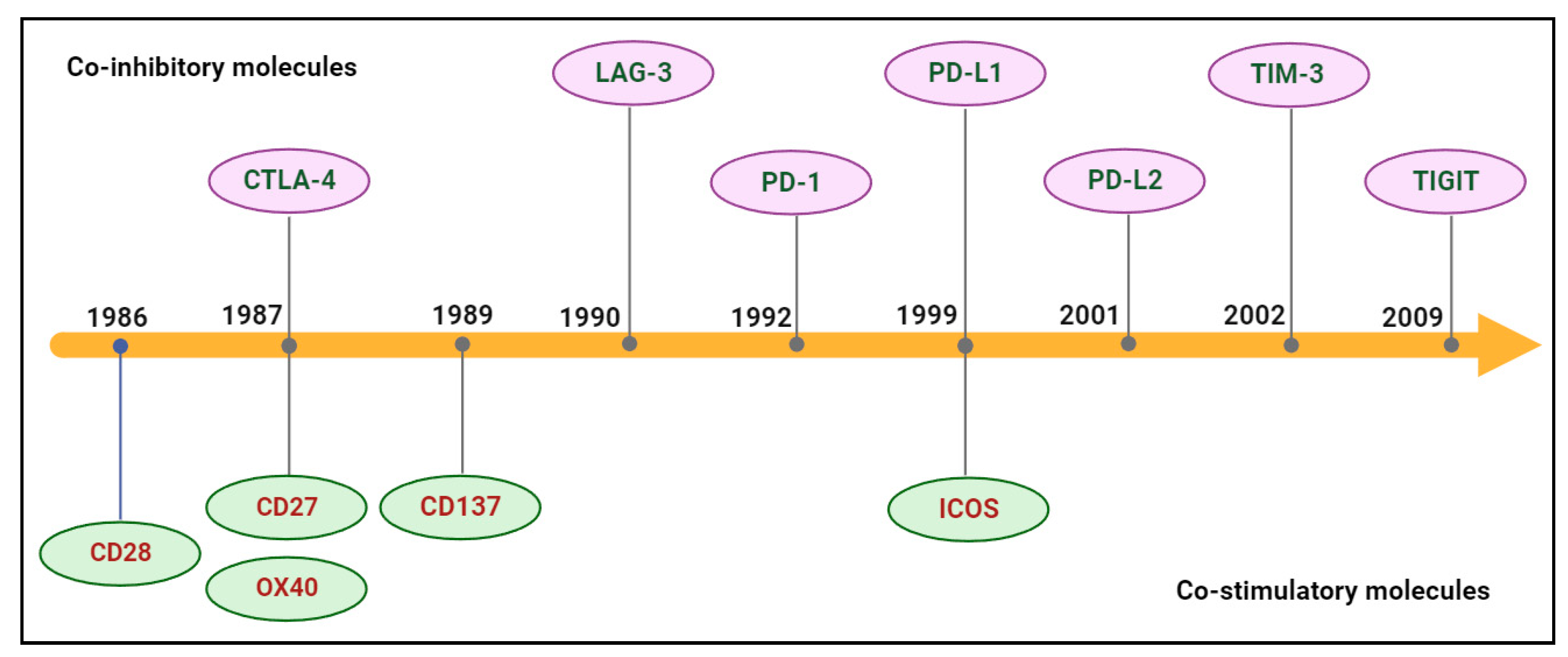Molecules 29 00454 g003