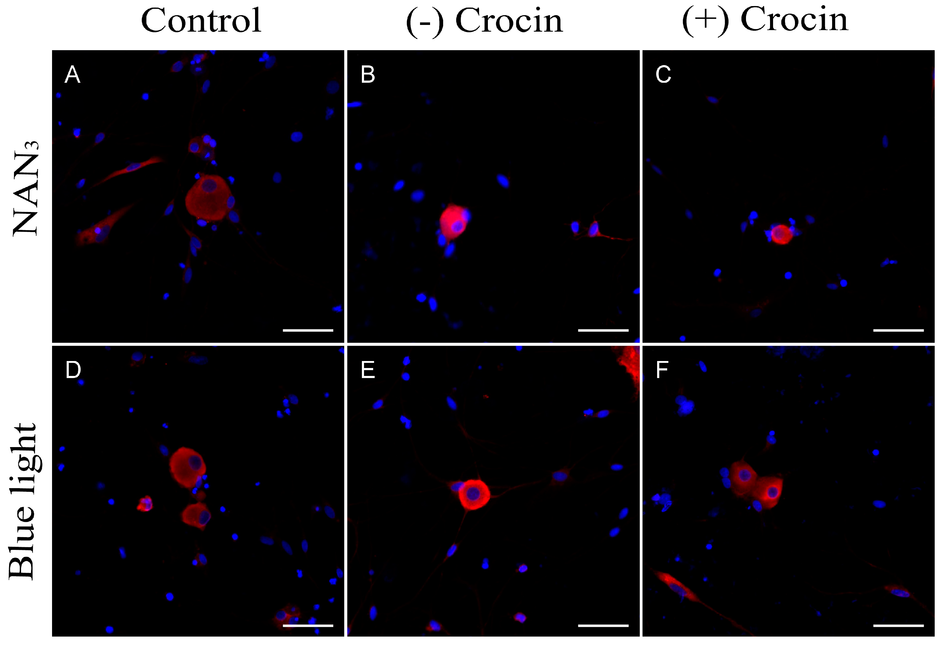 Molecules 29 00456 g001