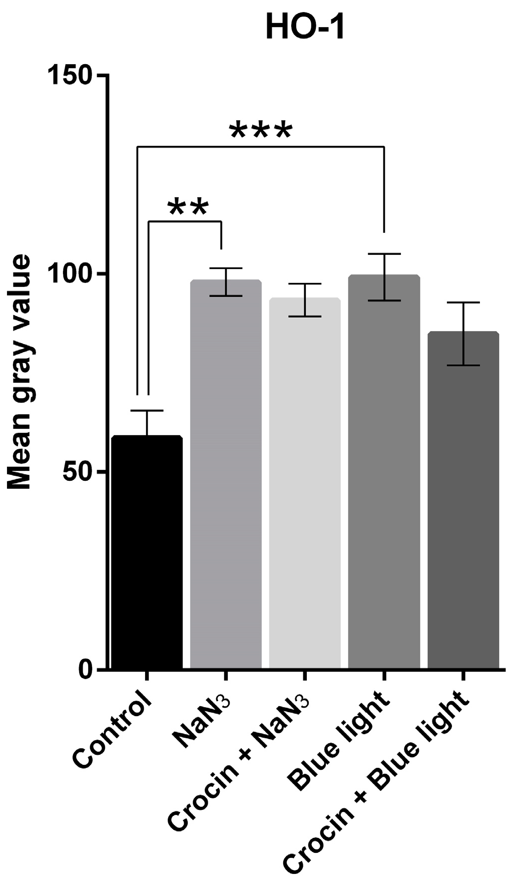 Molecules 29 00456 g002