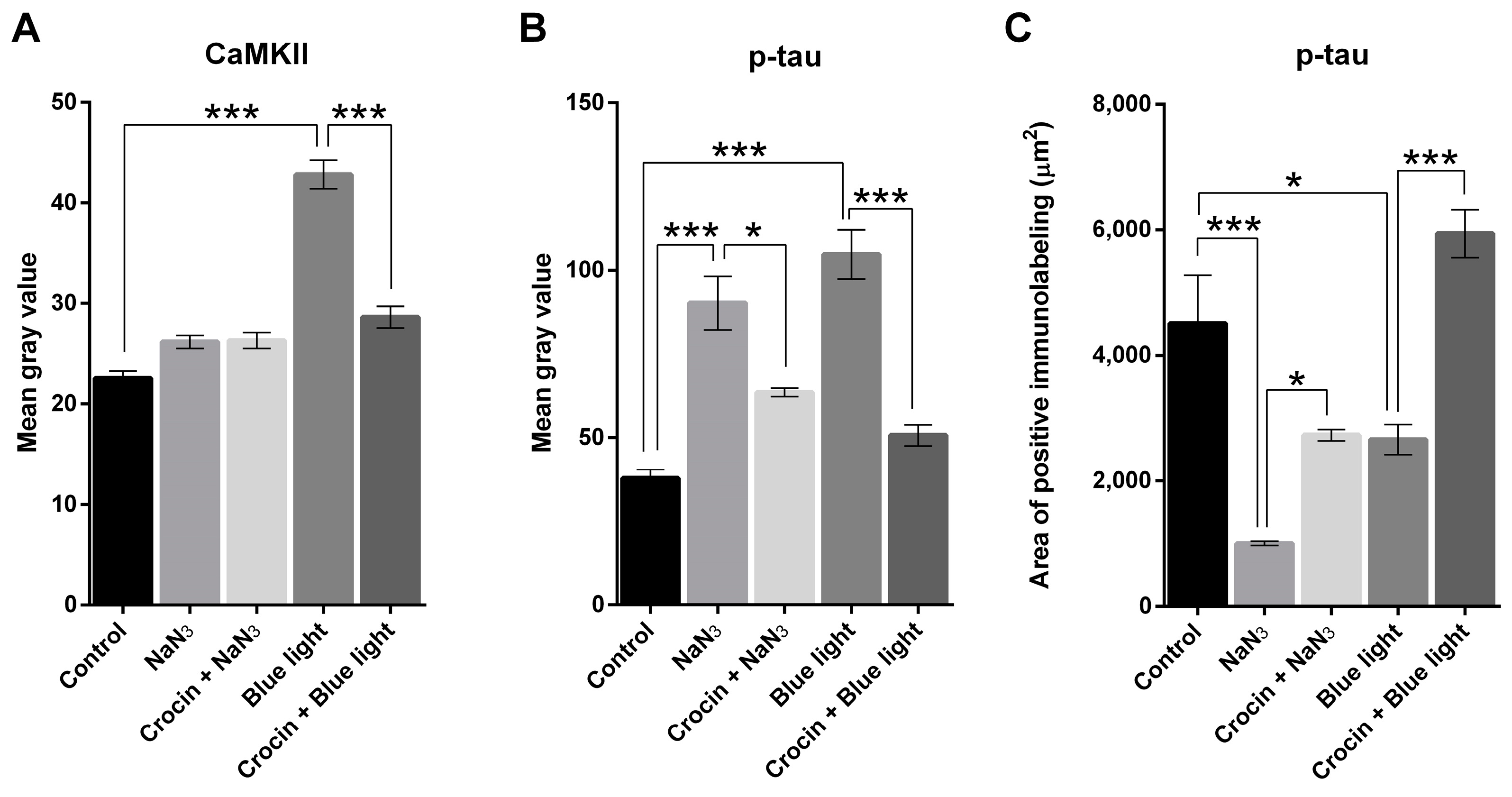 Molecules 29 00456 g006