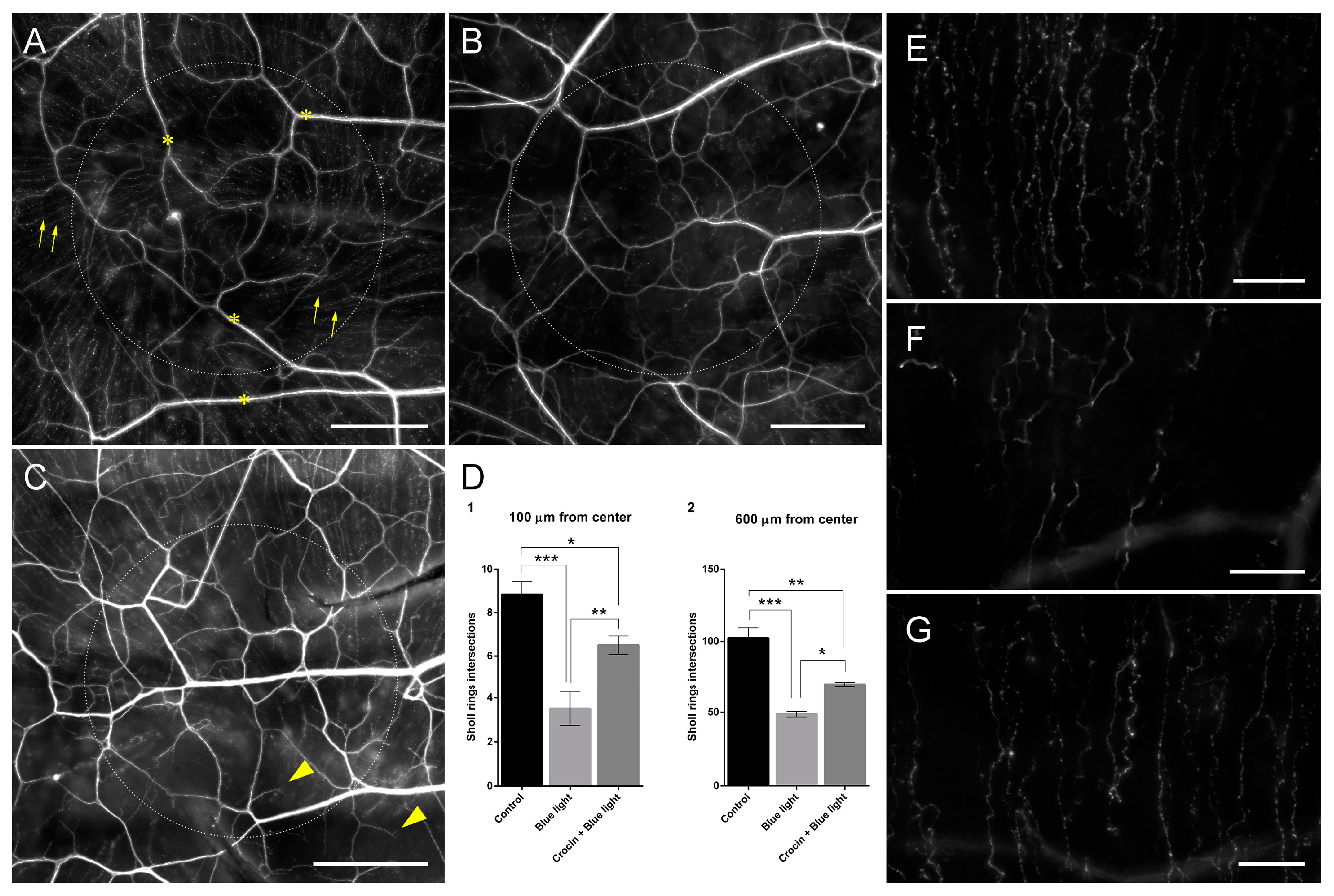 Molecules 29 00456 g011