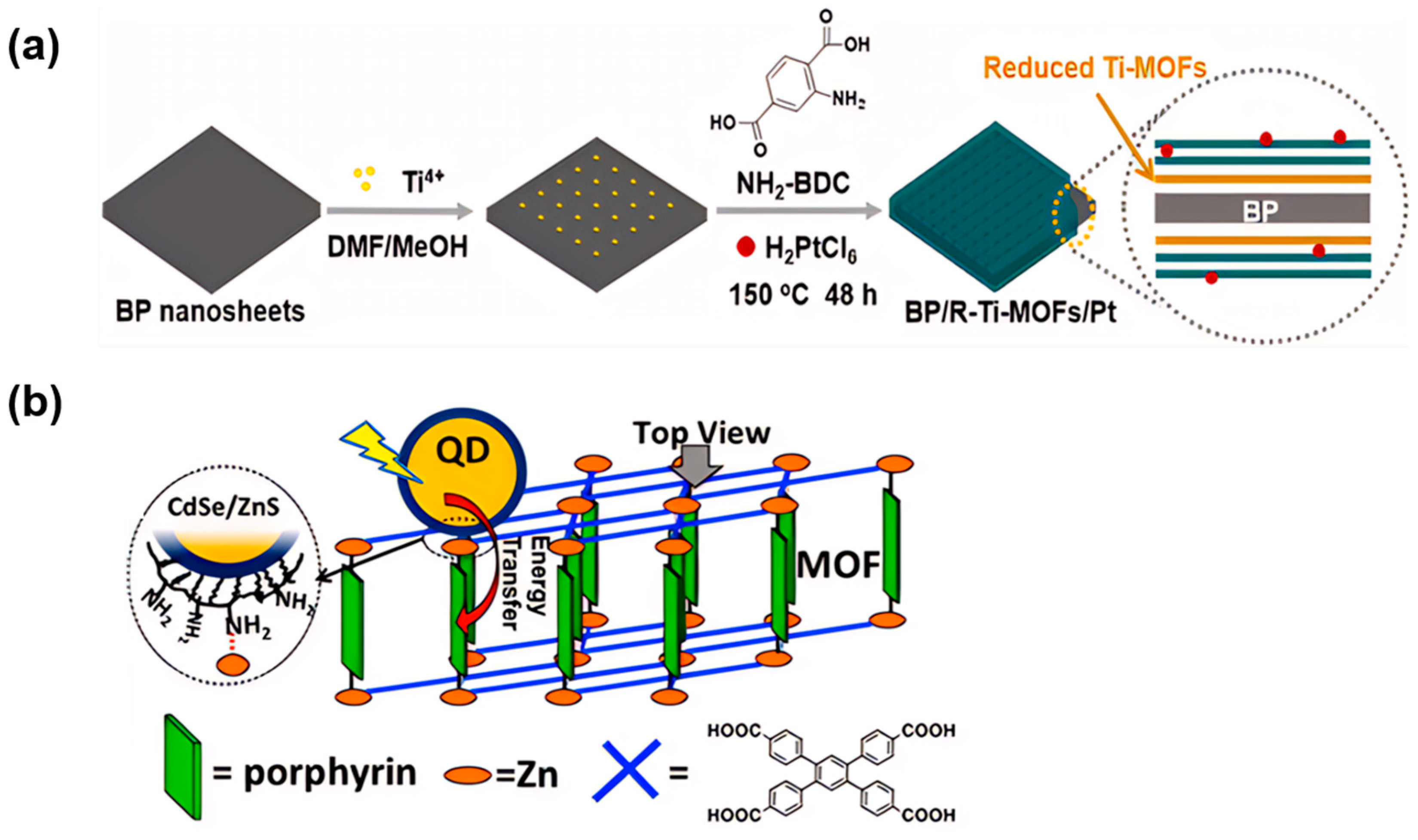 Molecules 29 00467 g007
