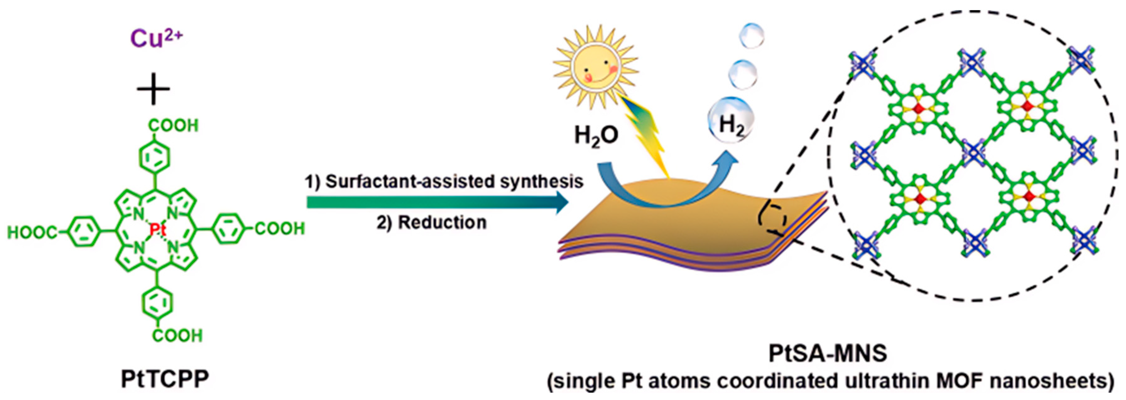 Molecules 29 00467 g008