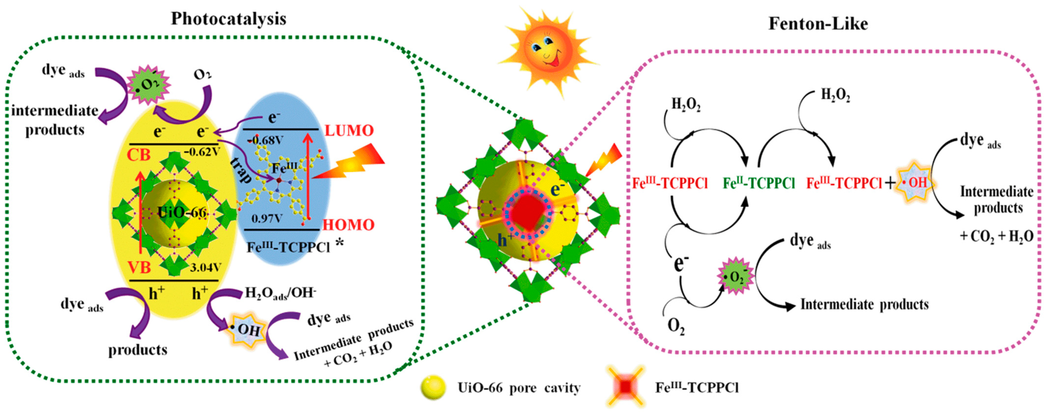 Molecules 29 00467 g011