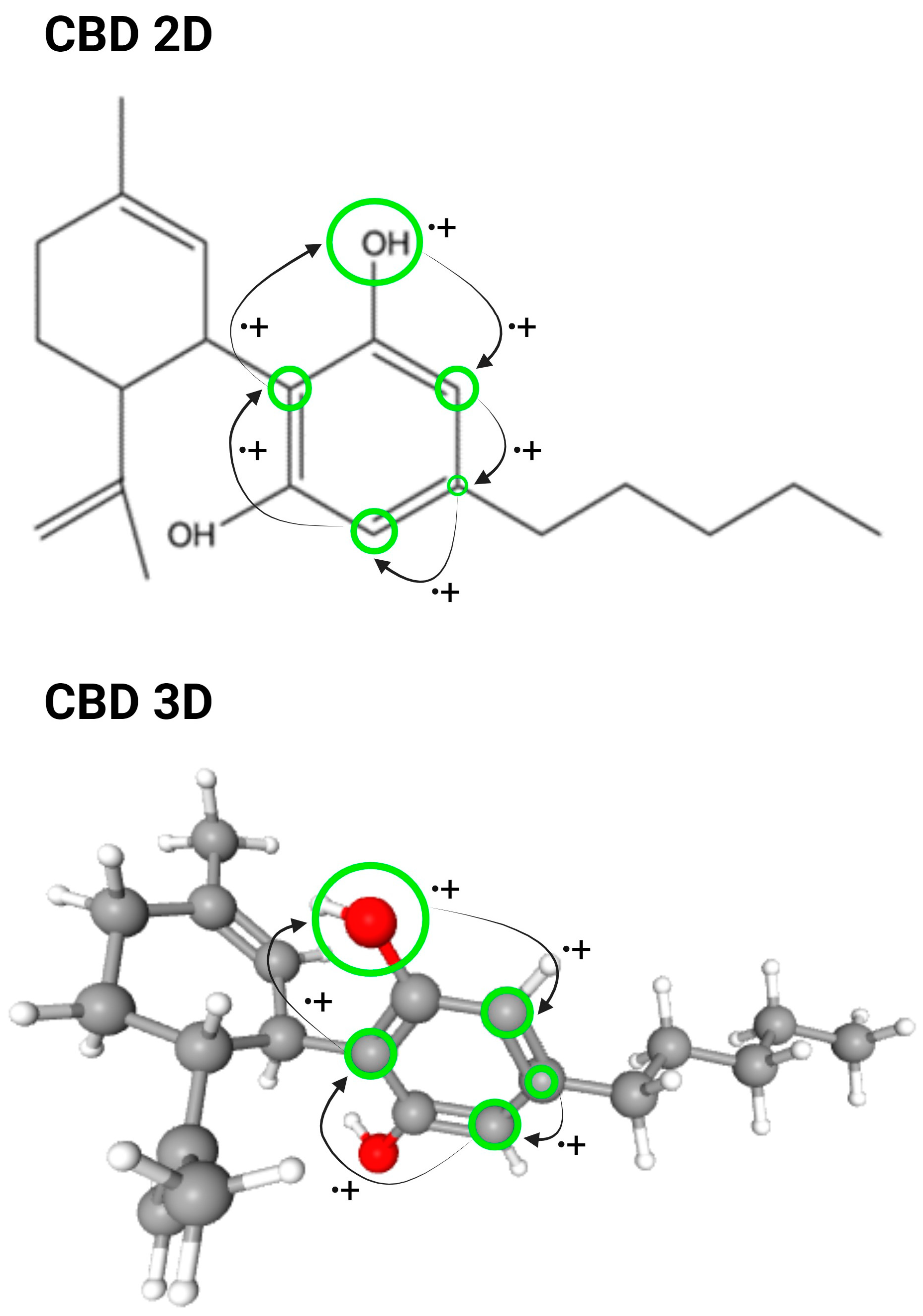 Molecules 29 00473 g002