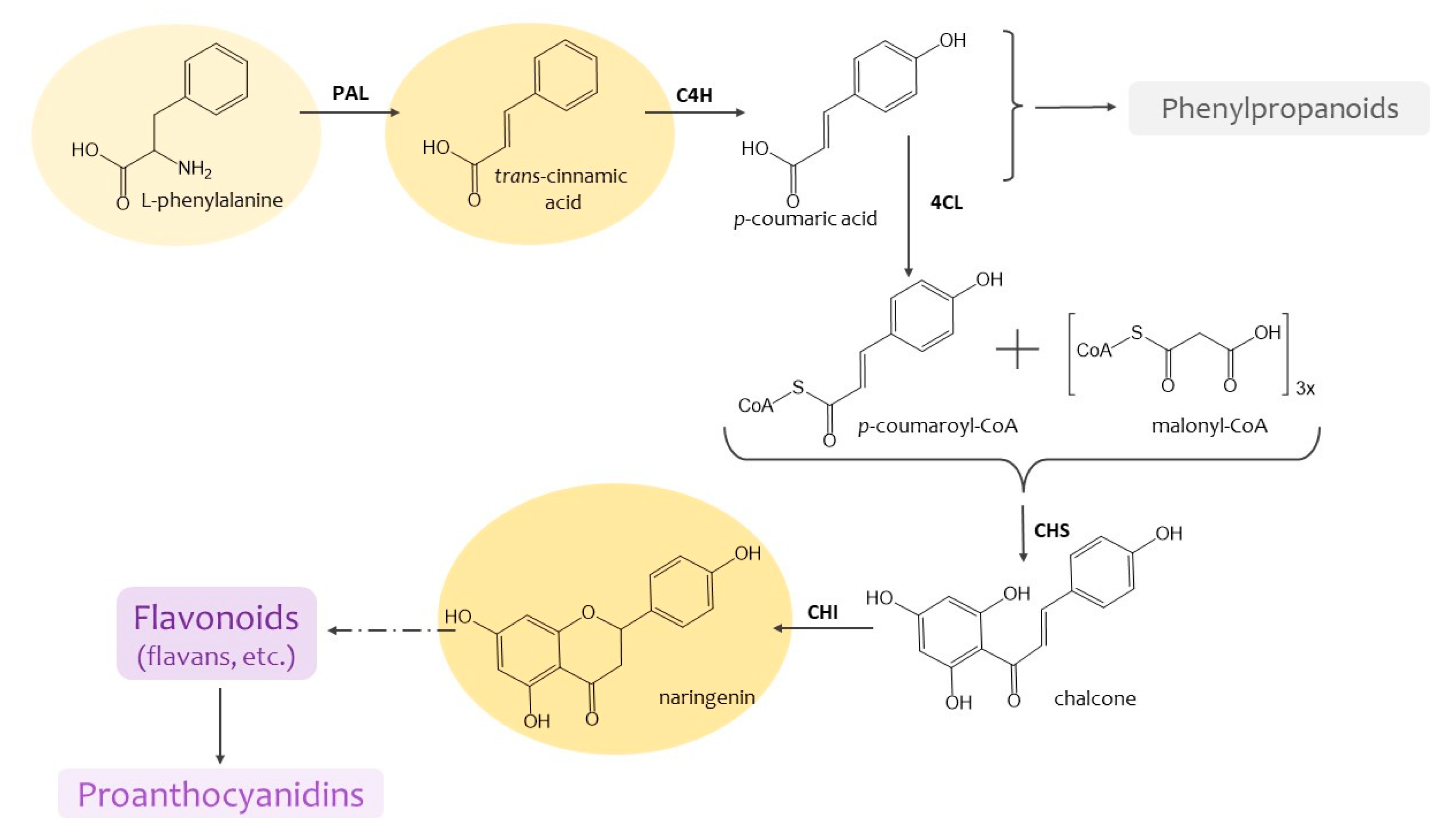Molecules 29 00474 g001