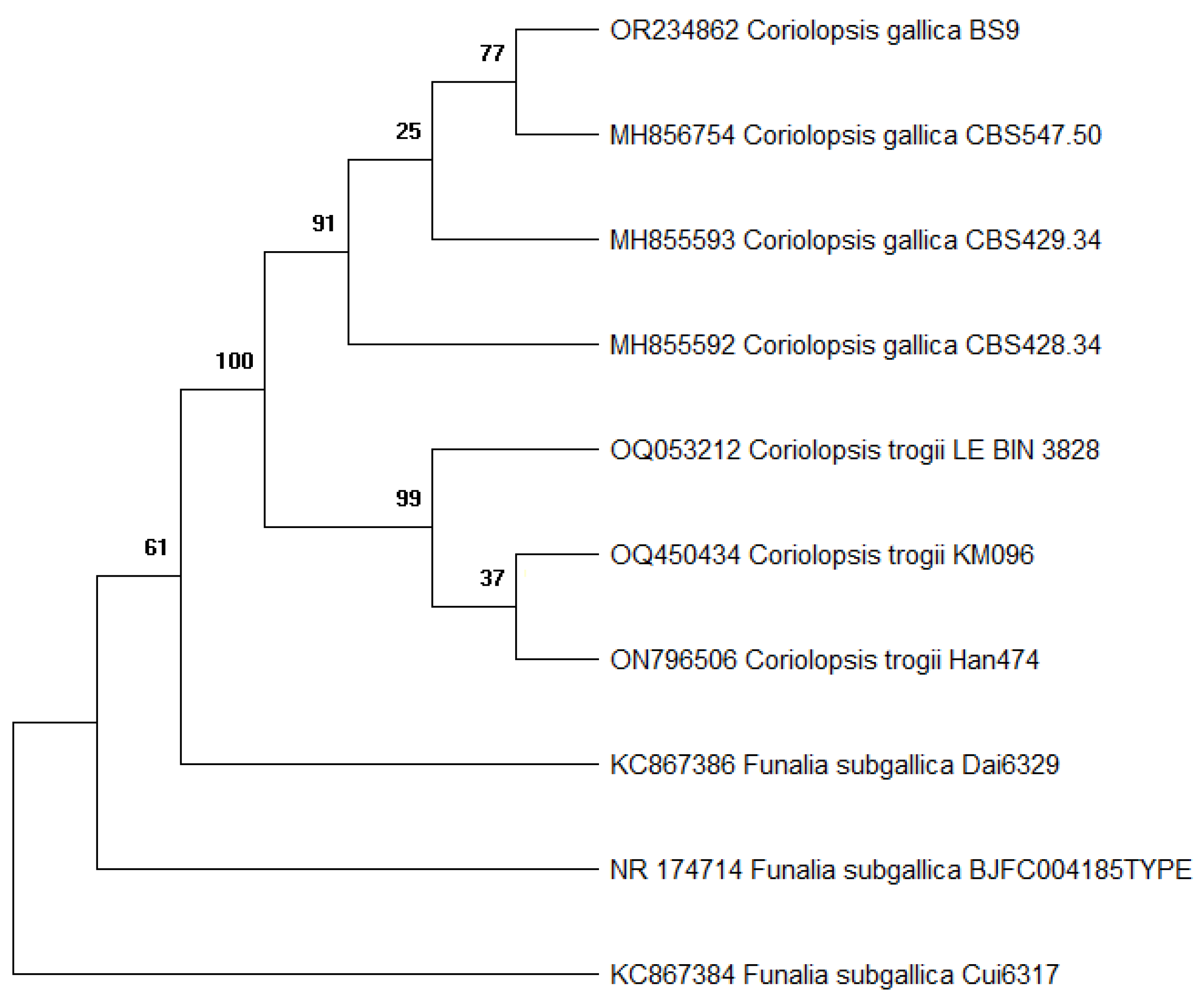 Molecules 29 00477 g001