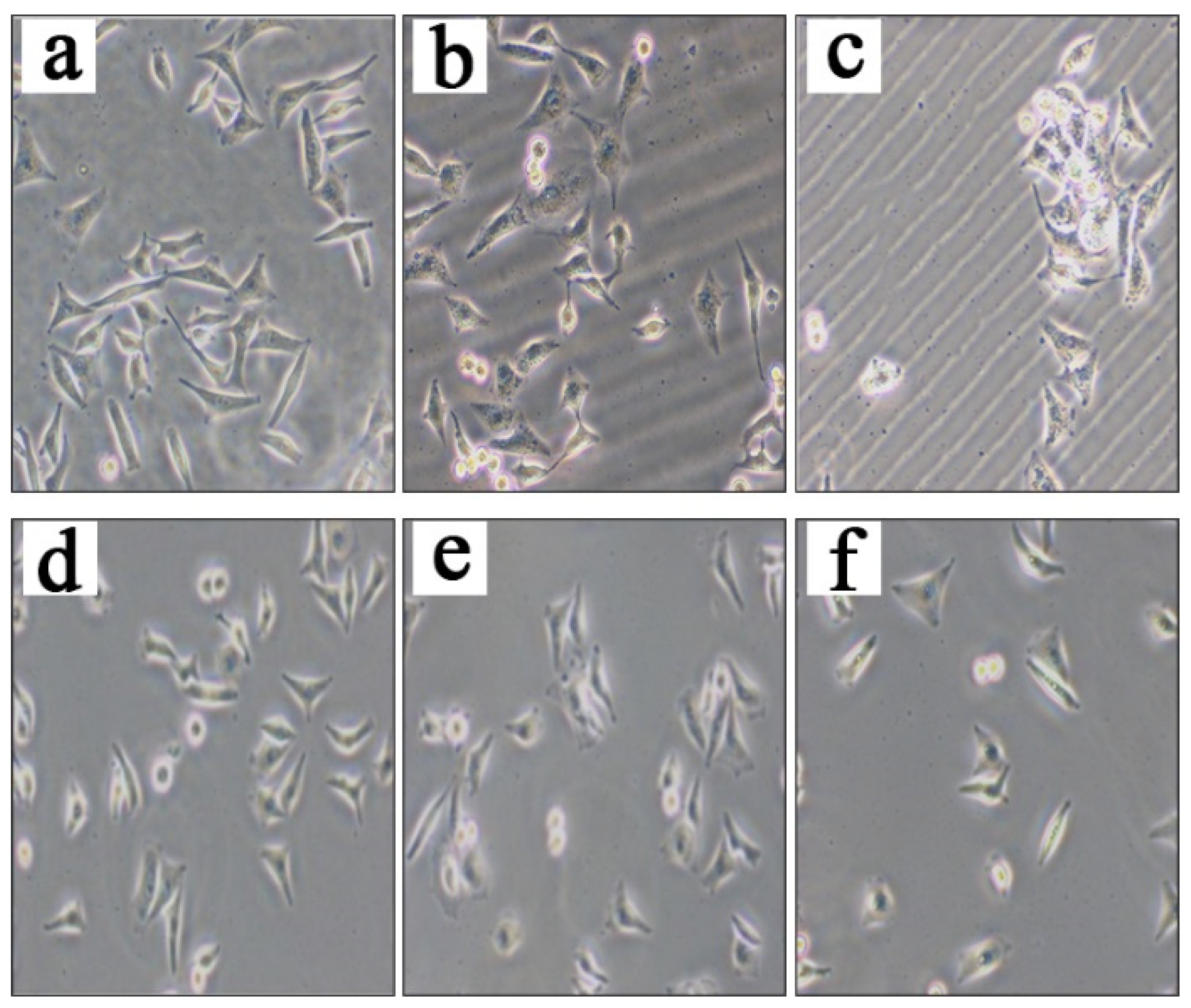 Molecules 29 00483 g002