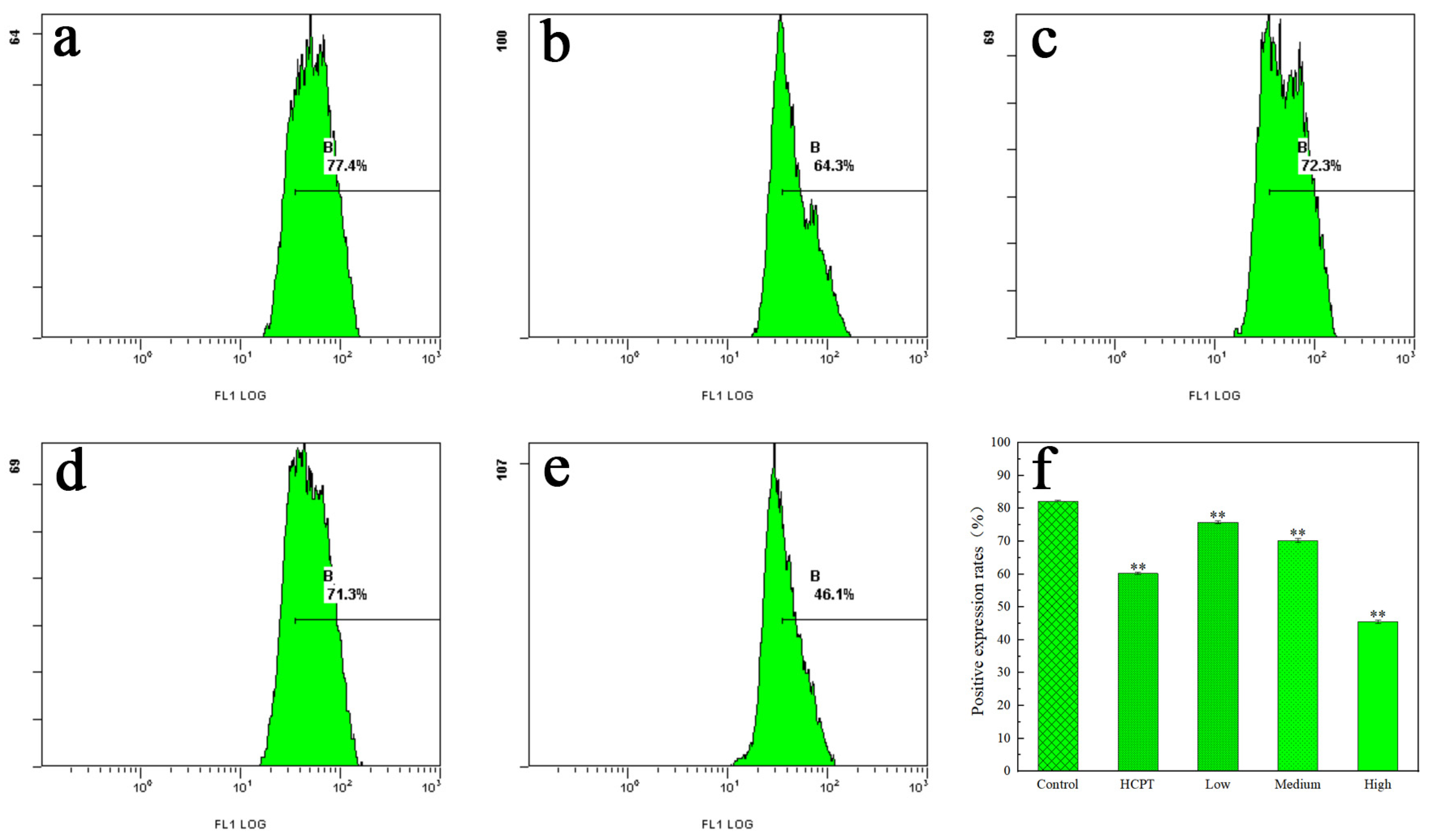 Molecules 29 00483 g005