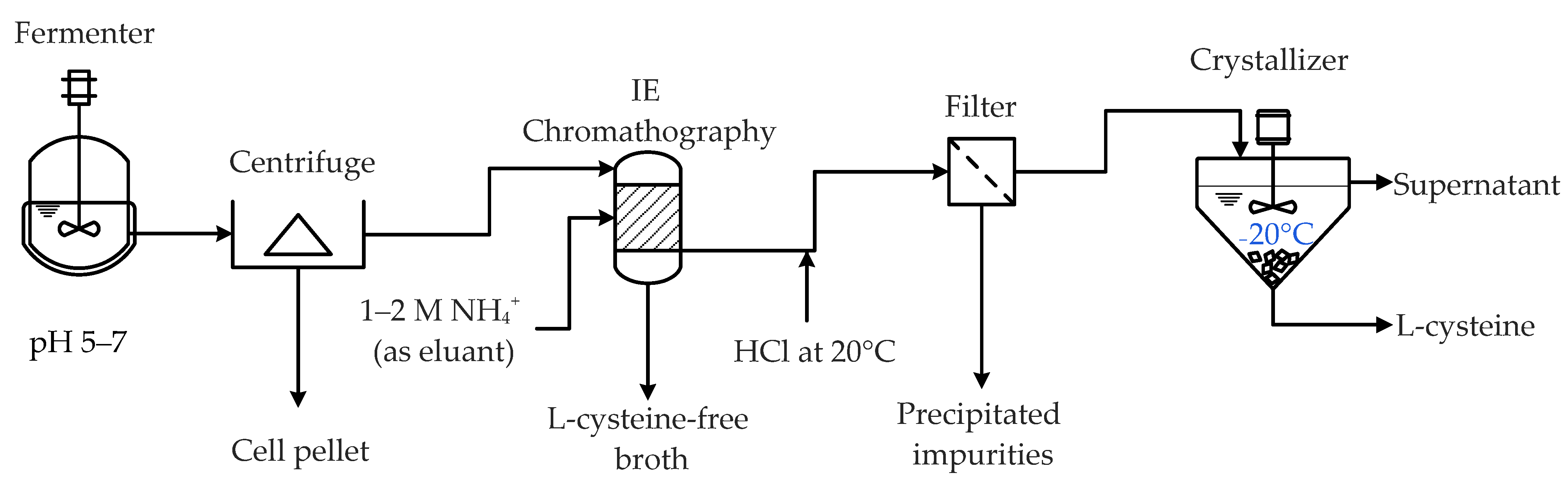Molecules 29 00486 g004 Molecules 29 00486 g004