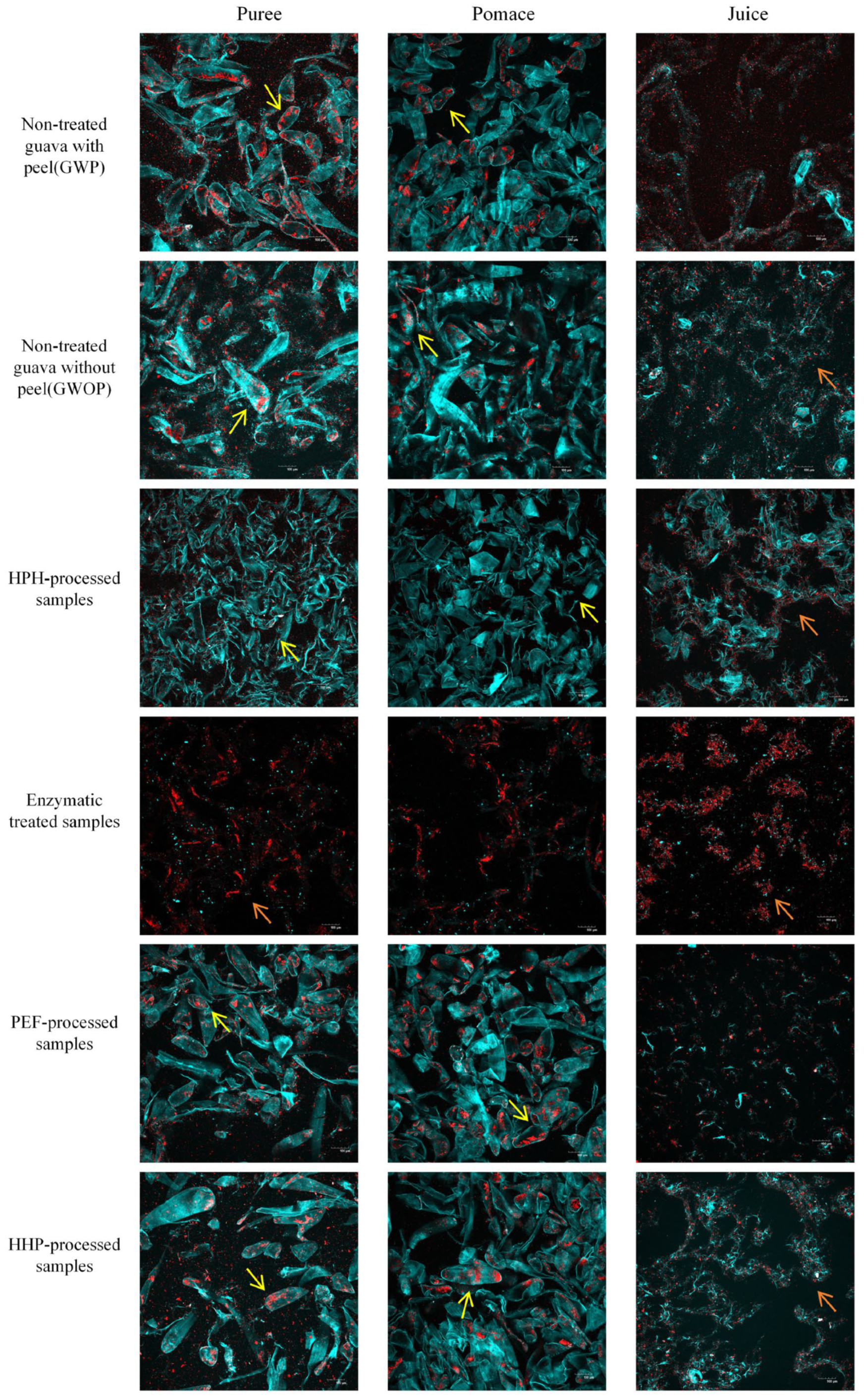 Molecules 29 00487 g003