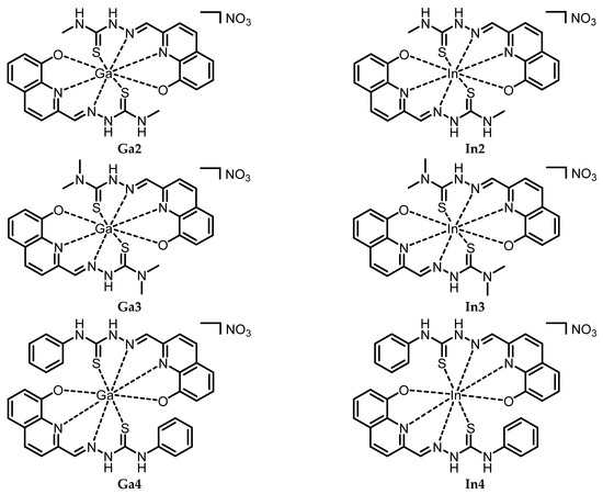 New Stable Gallium(III) and Indium(III) Complexes with