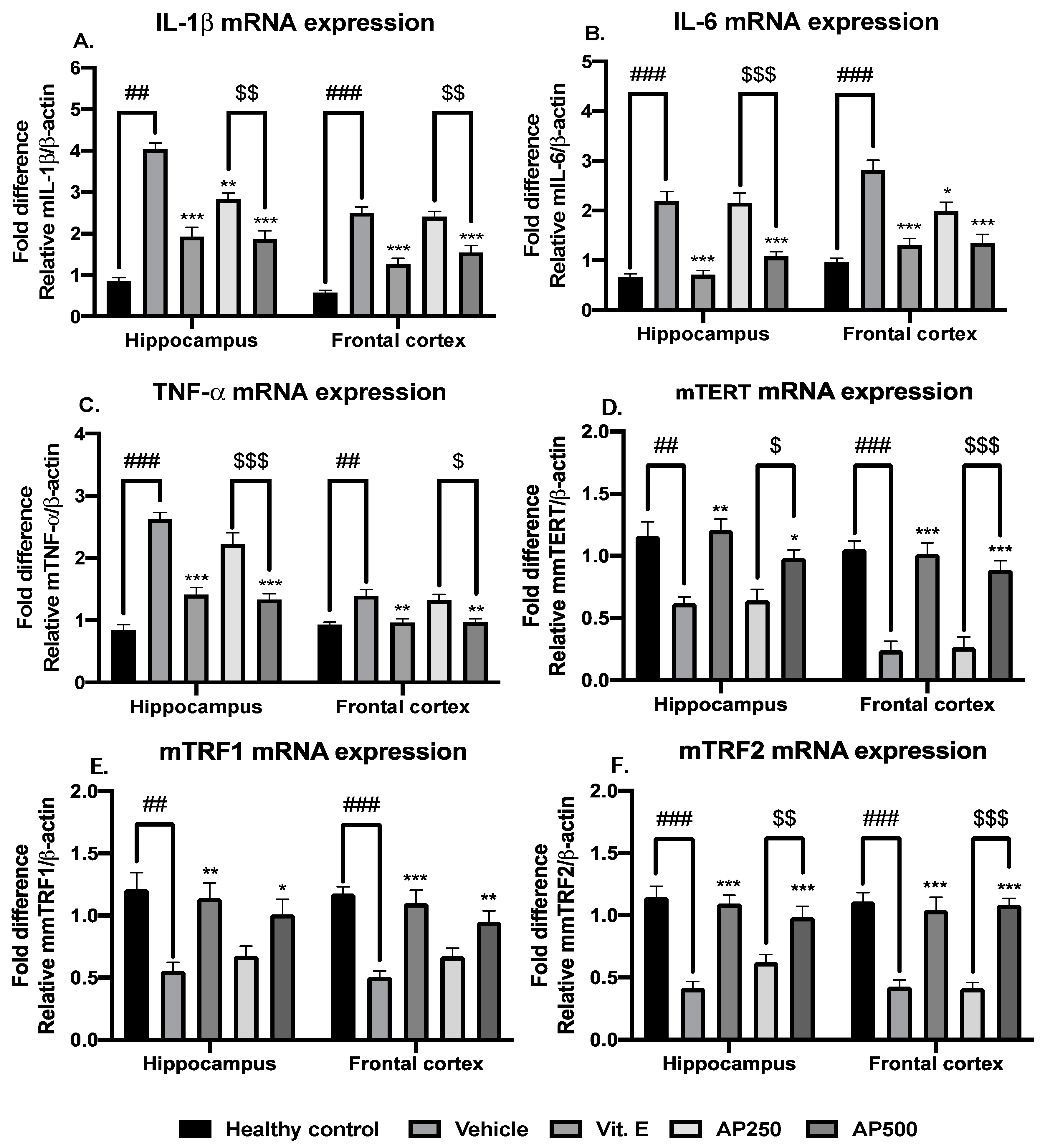 Molecules 29 00503 g005