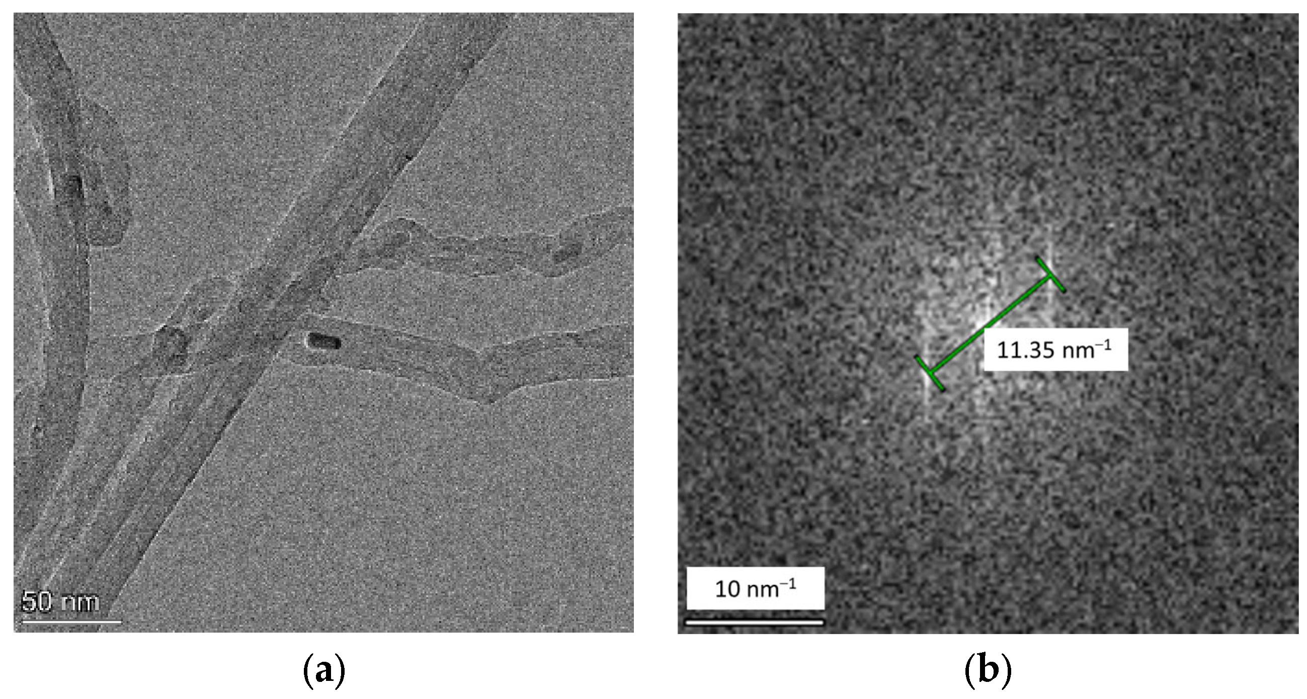 Molecules 29 00504 g005