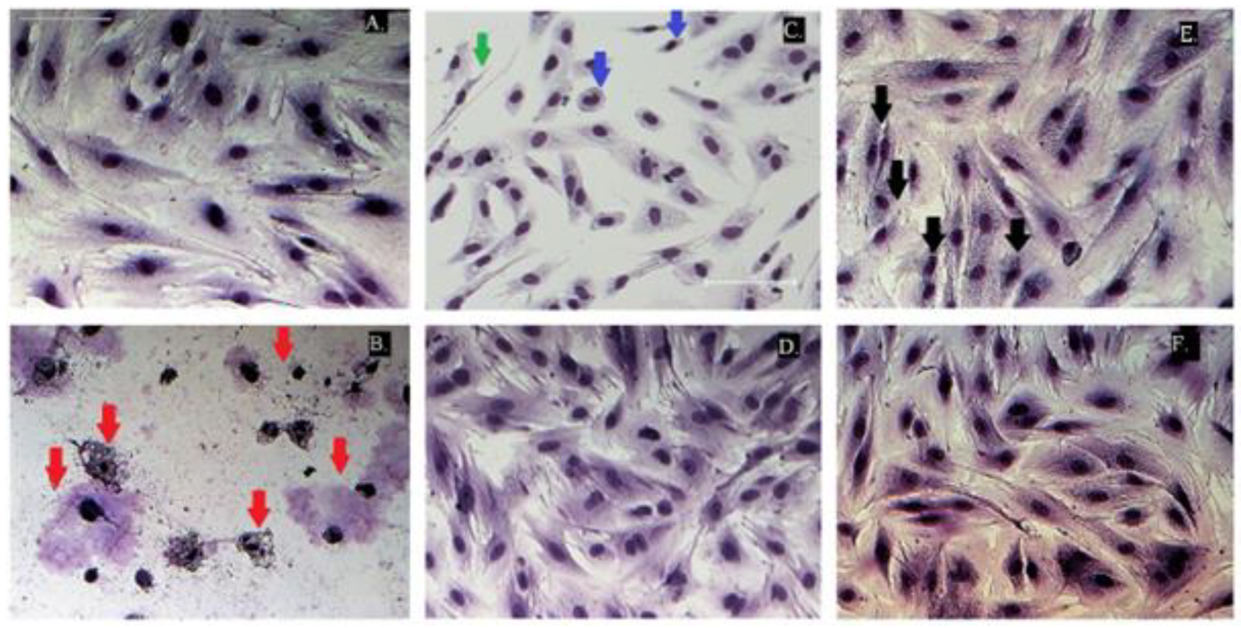 Molecules 29 00506 g009