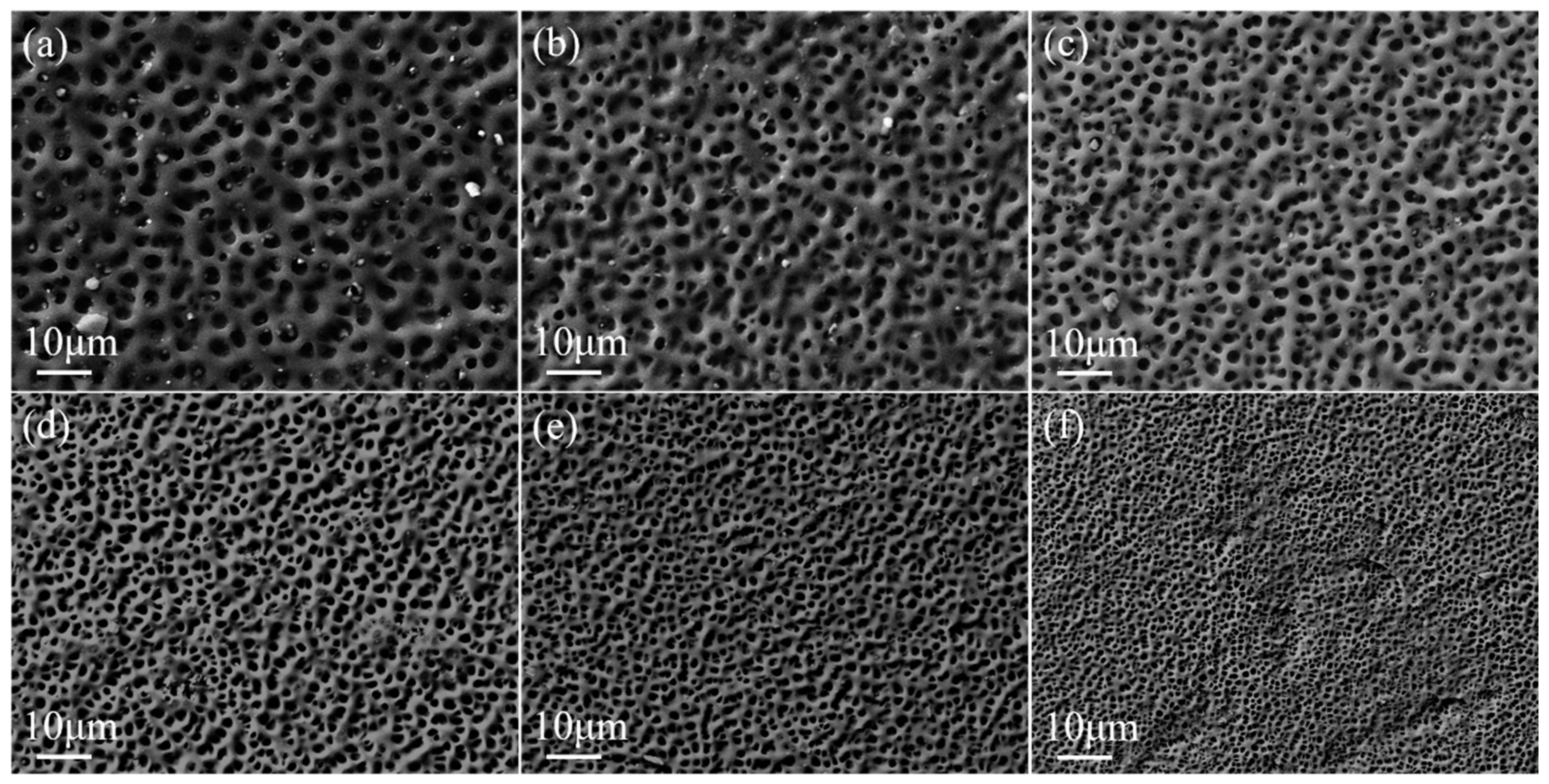 Molecules 29 00508 g002
