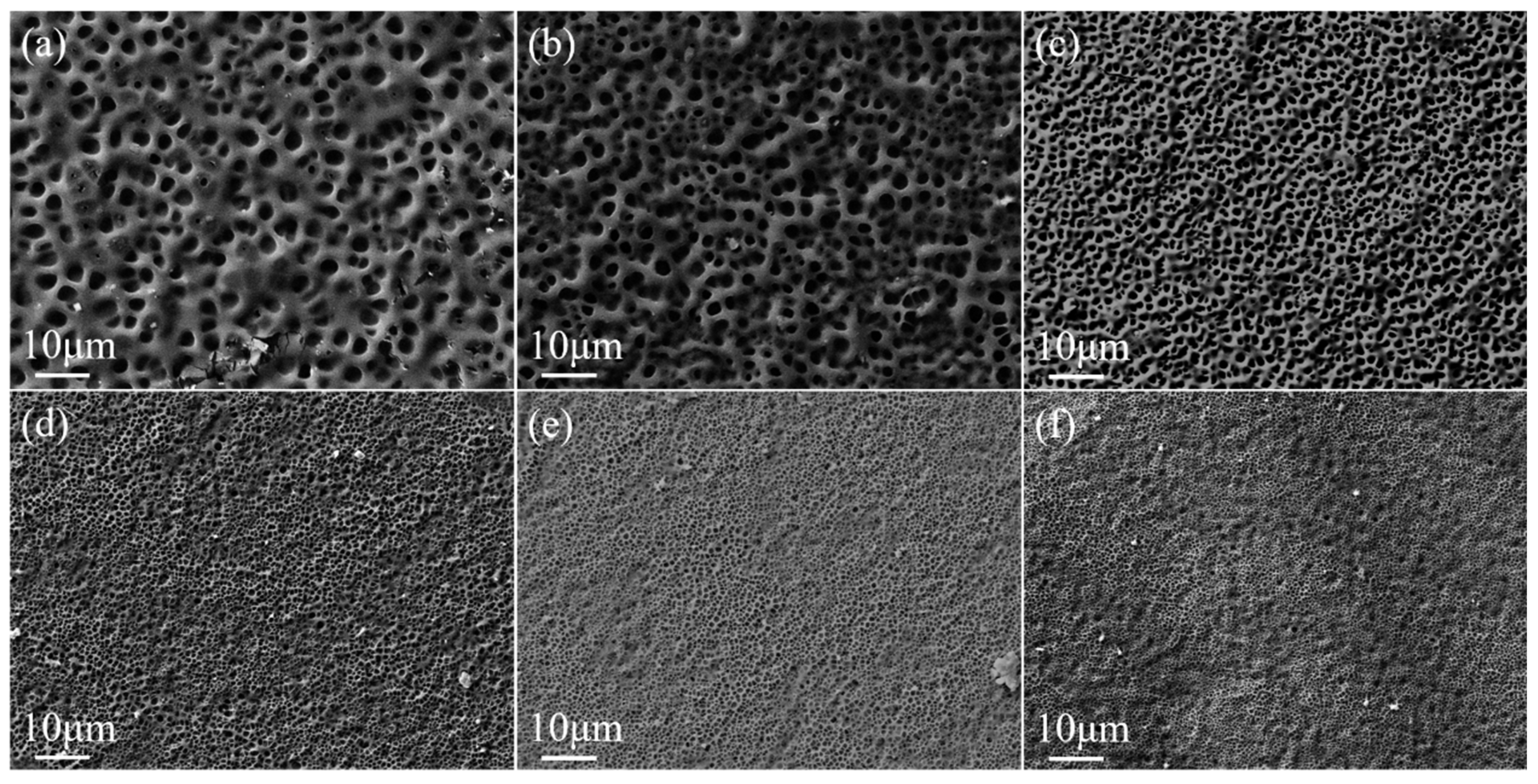 Molecules 29 00508 g005