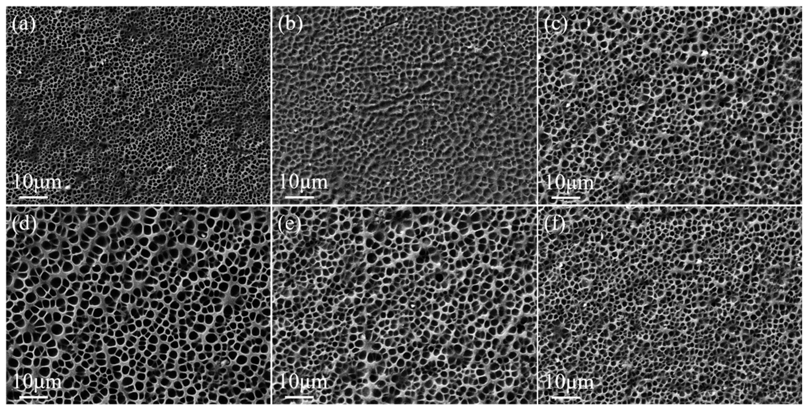 Molecules 29 00508 g009