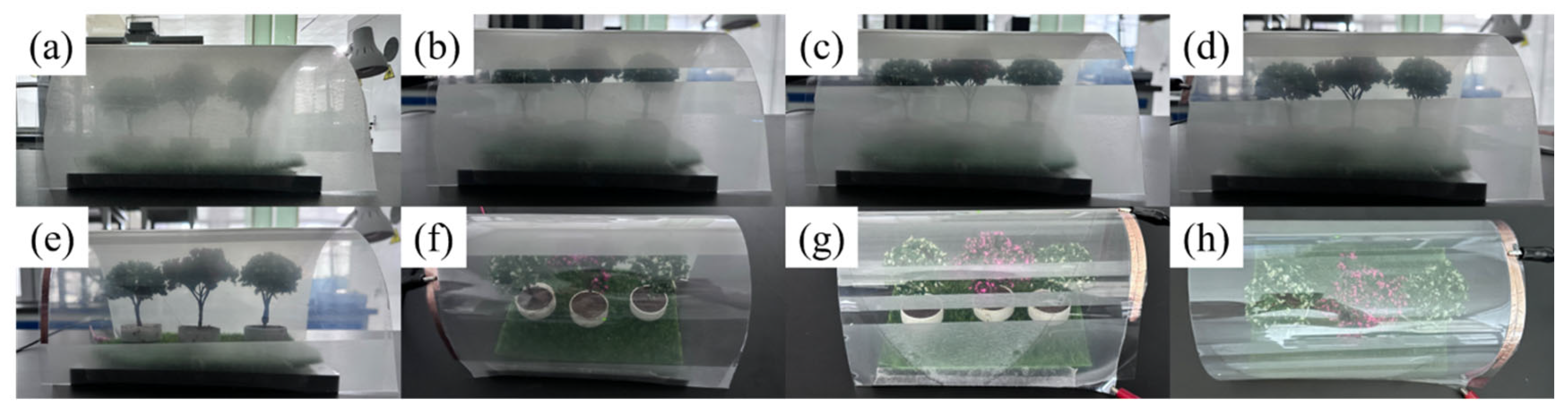 Molecules 29 00508 g015