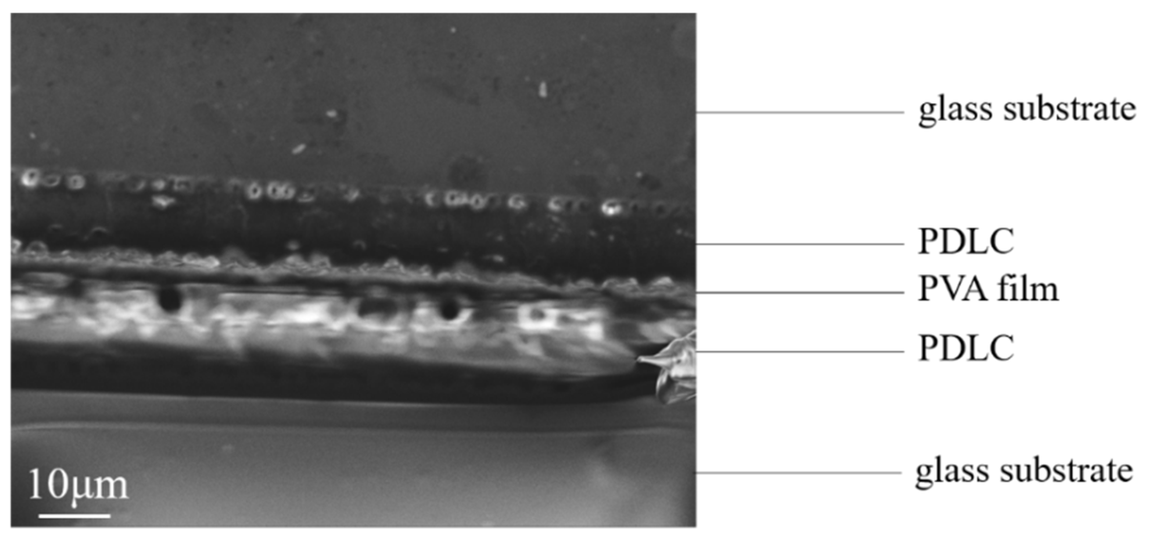 Molecules 29 00508 g017