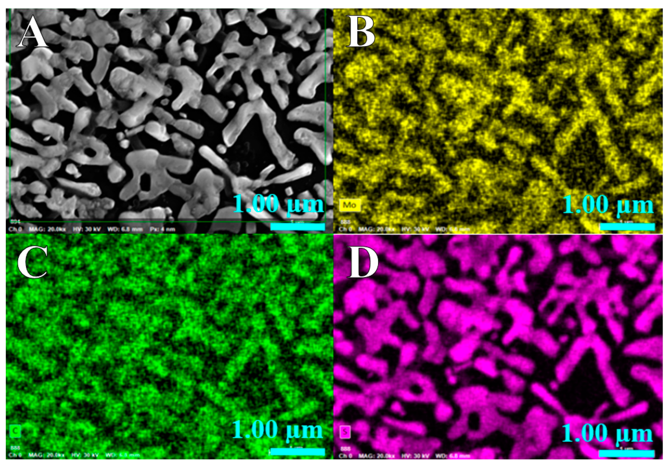 Molecules 29 00523 g001