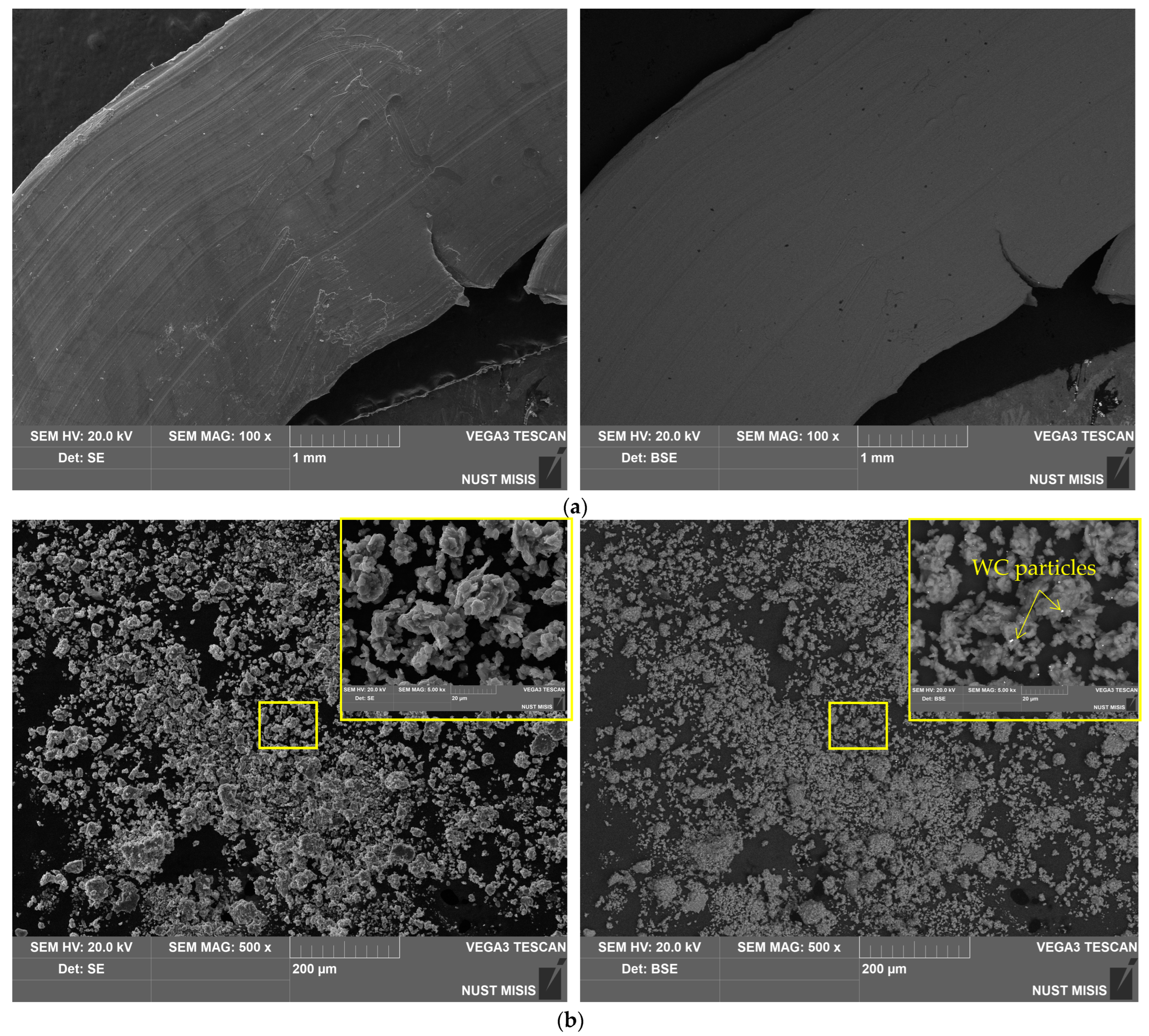 Molecules 29 00530 g003a