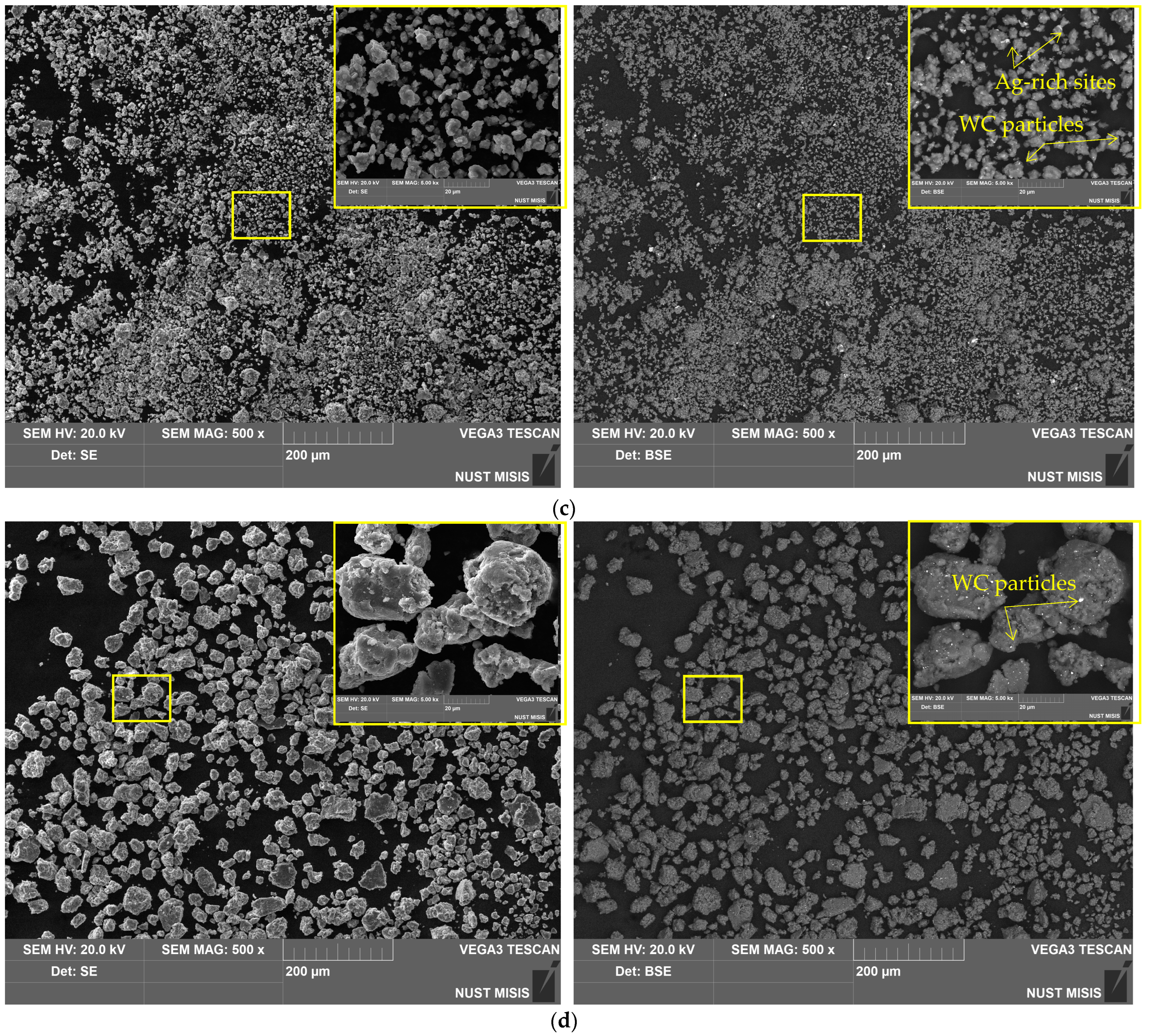 Molecules 29 00530 g003b