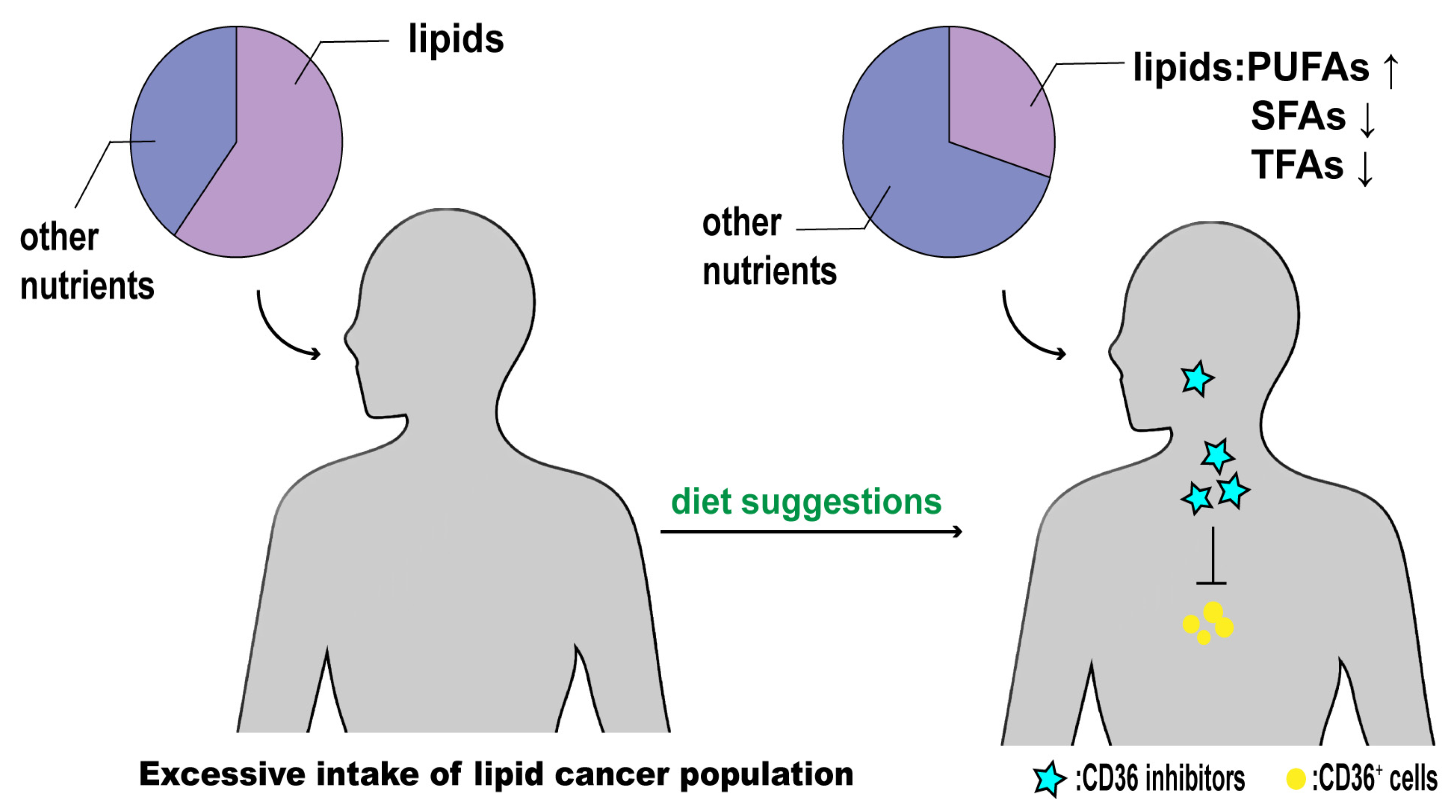 Molecules 29 00531 g005 Molecules 29 00531 g005