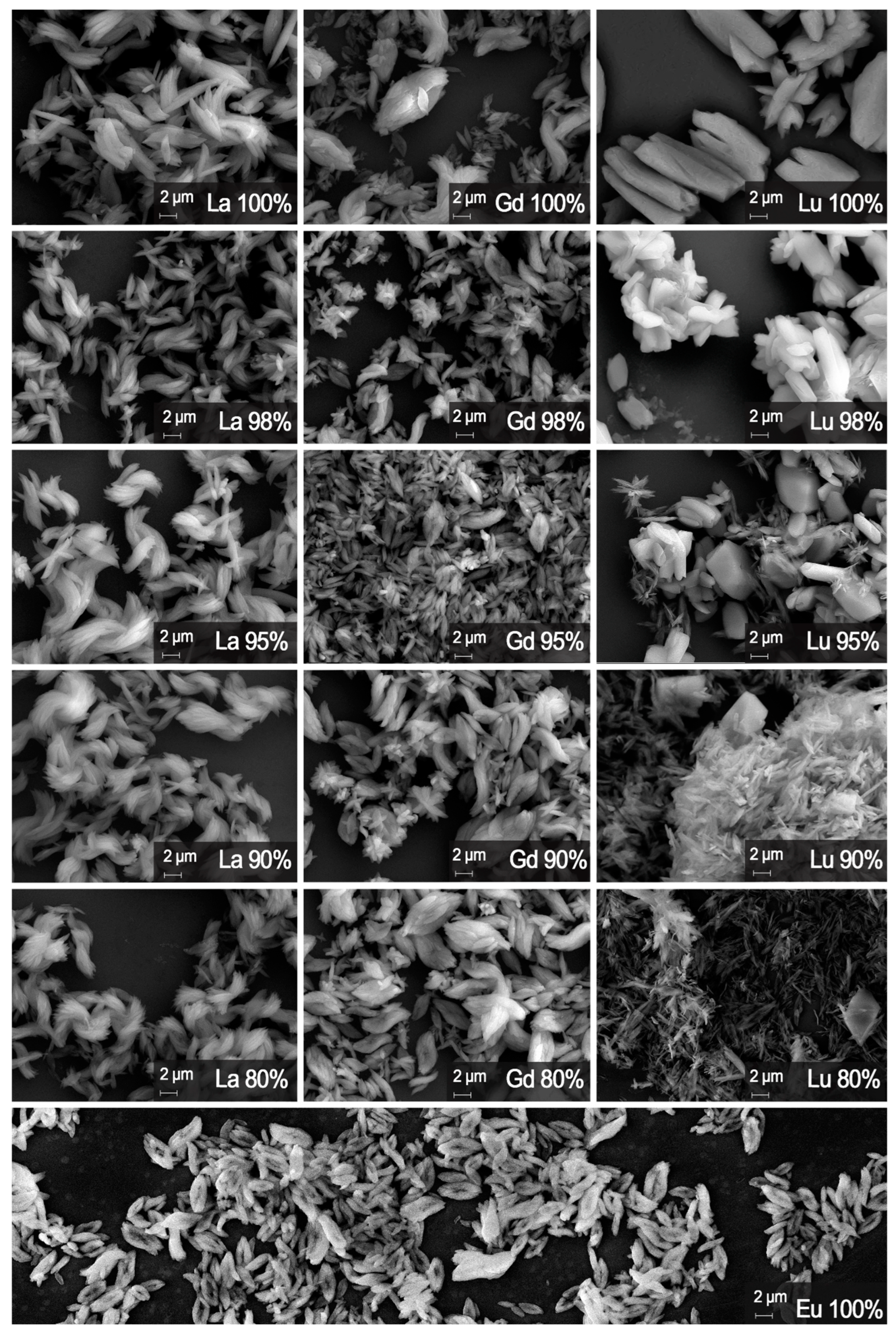 Molecules 29 00532 g005