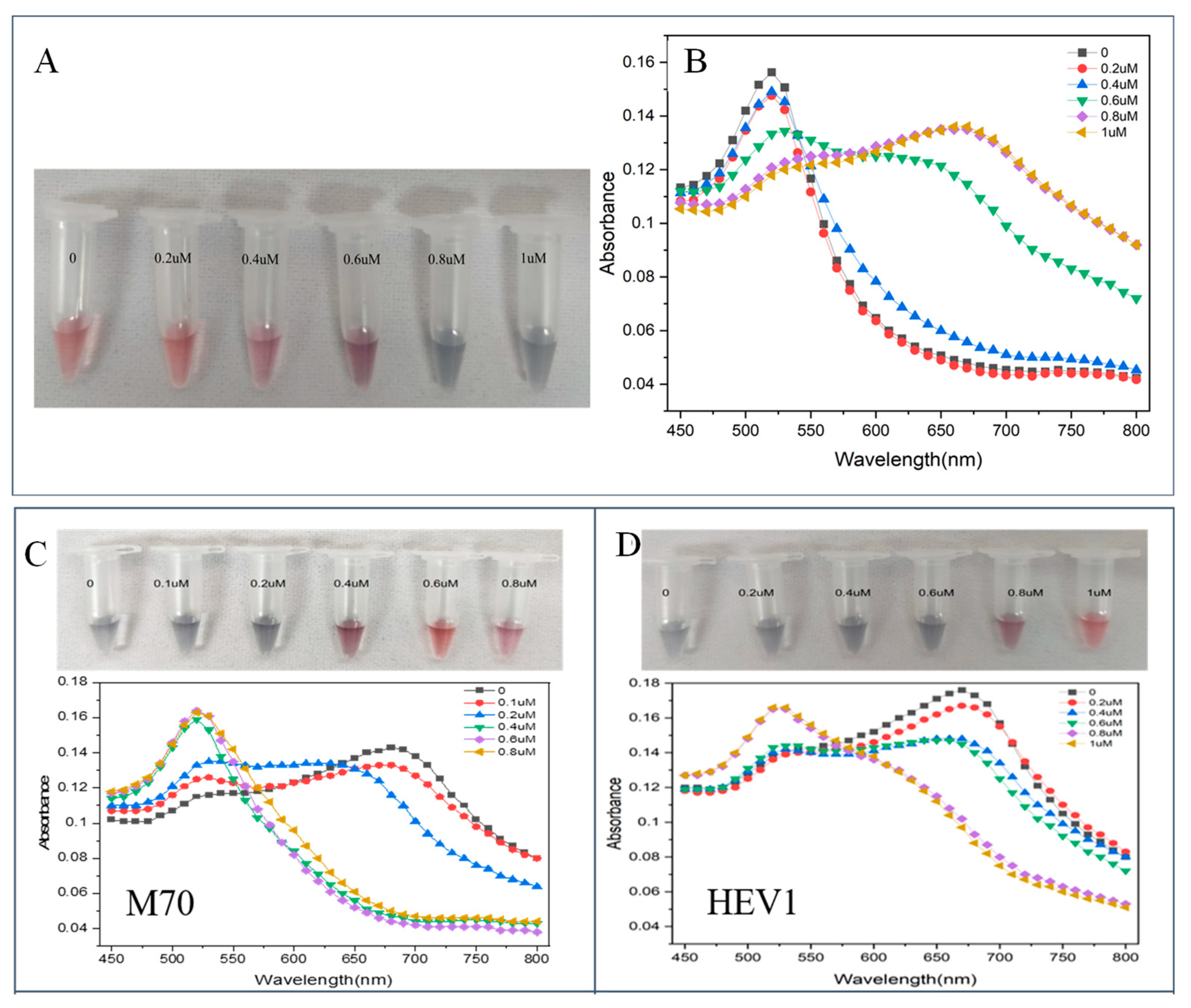 Molecules 29 00535 g002