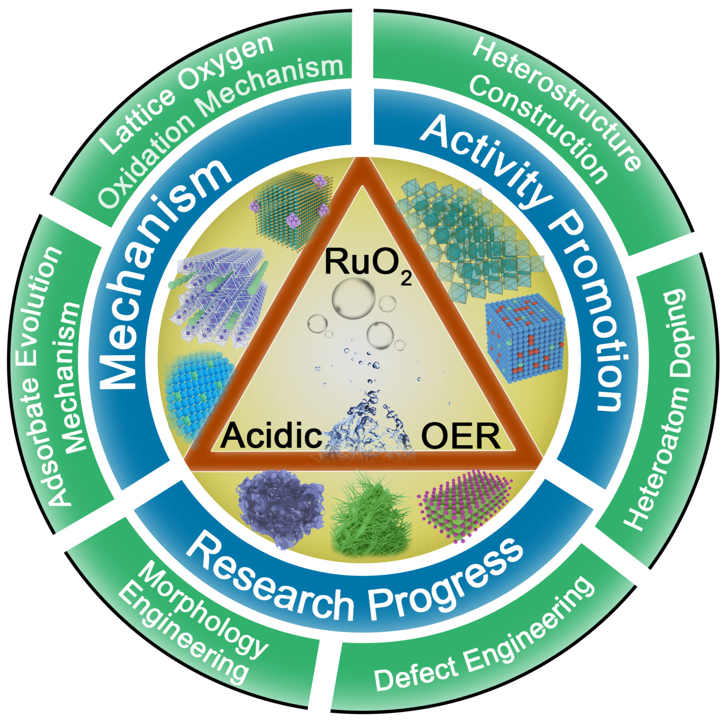 Molecules 29 00537 g001