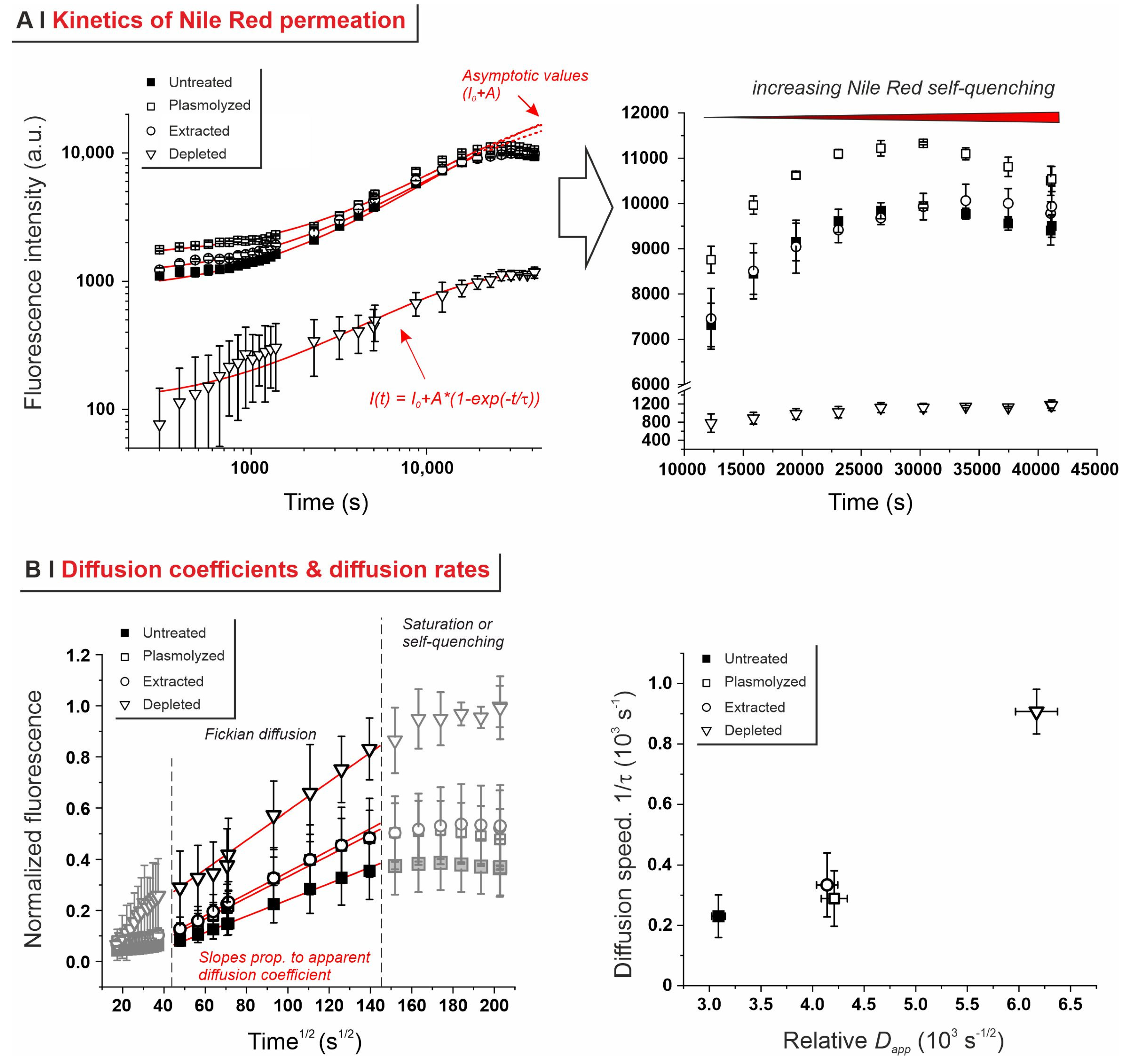 Molecules 29 00539 g003