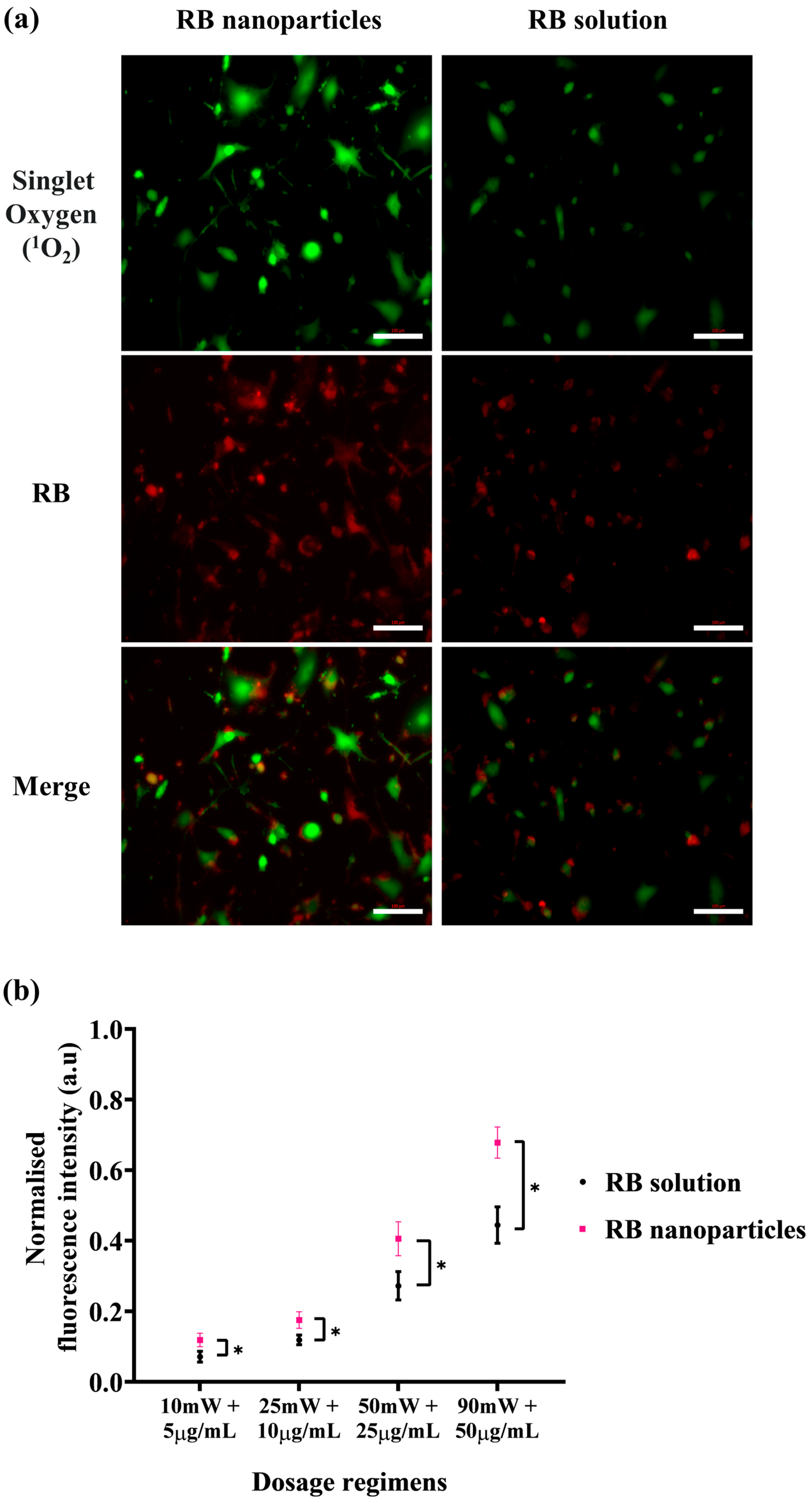 Molecules 29 00546 g007