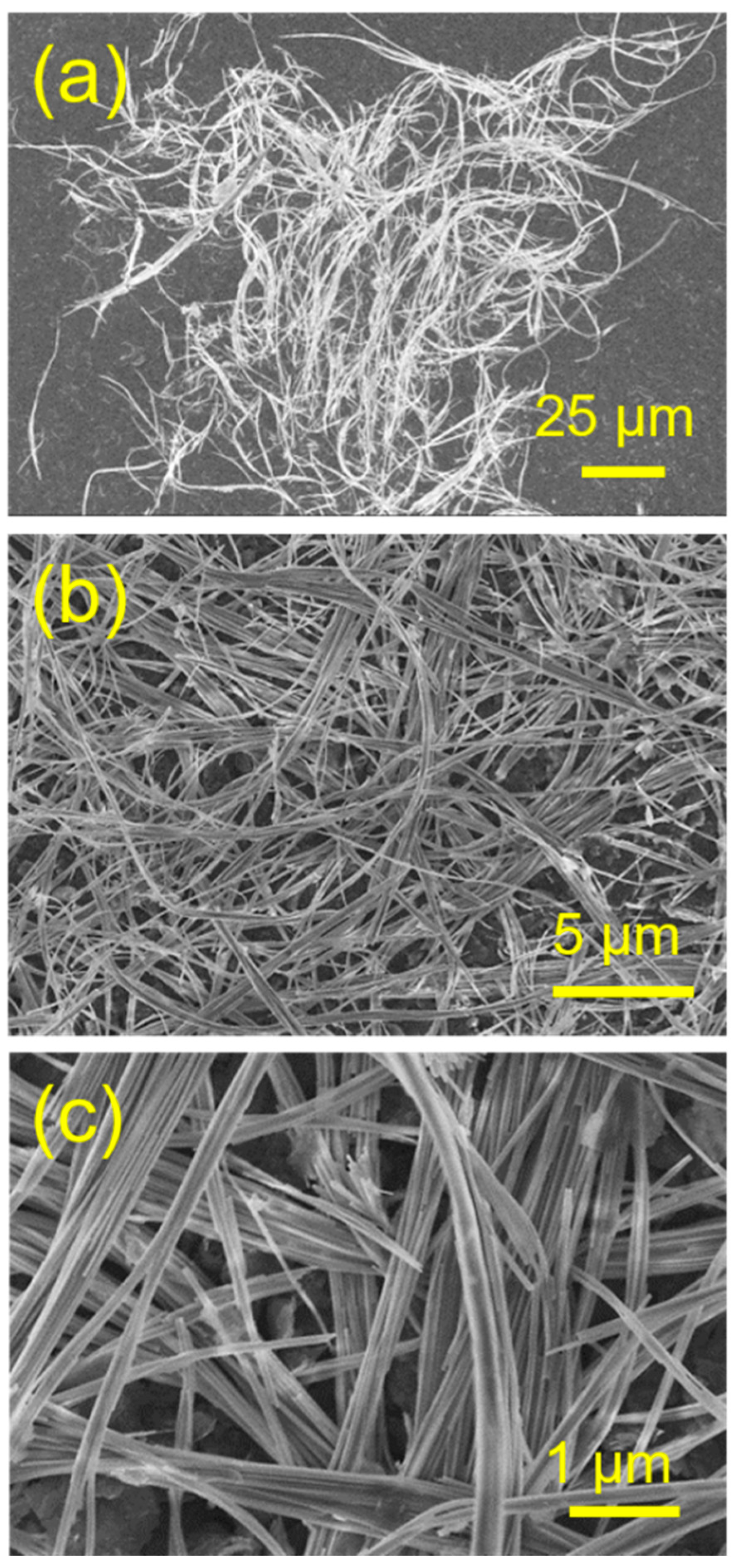 Molecules 29 00549 g002