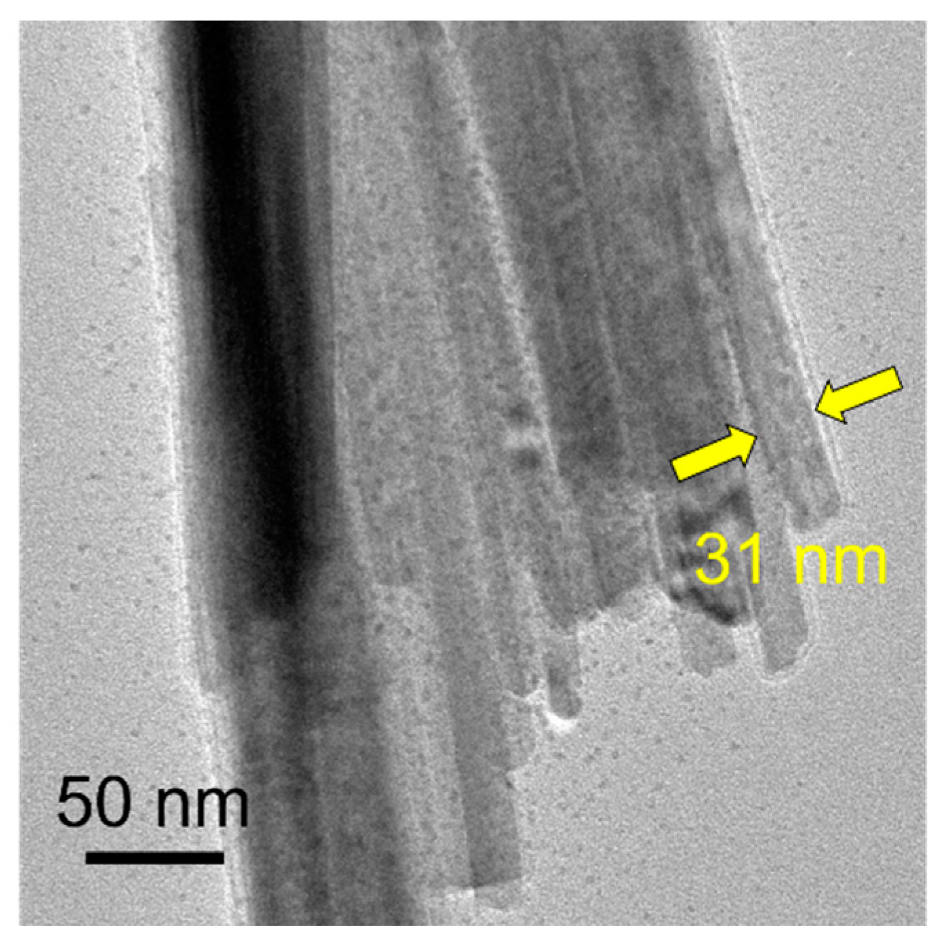 Molecules 29 00549 g003
