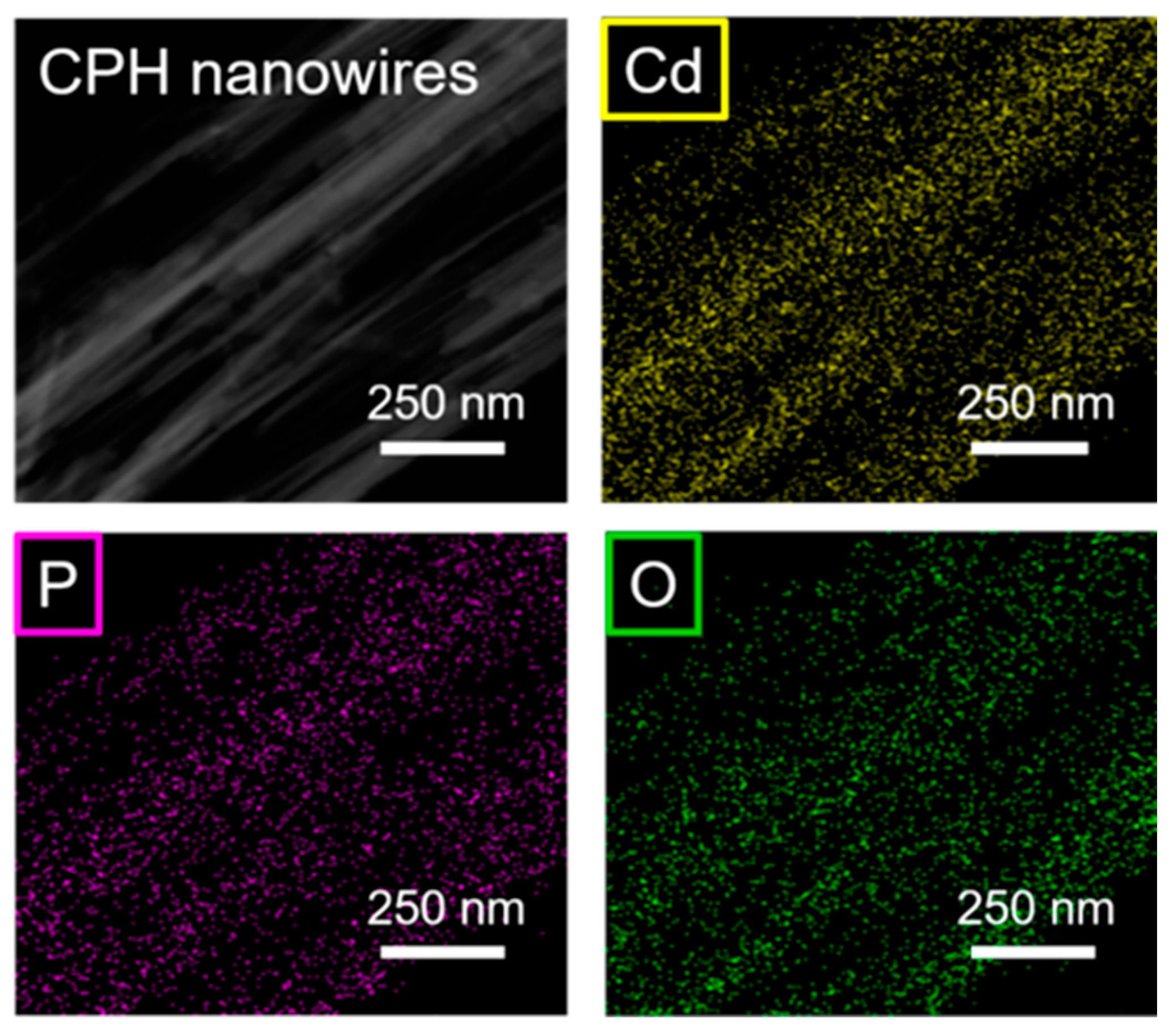 Molecules 29 00549 g004