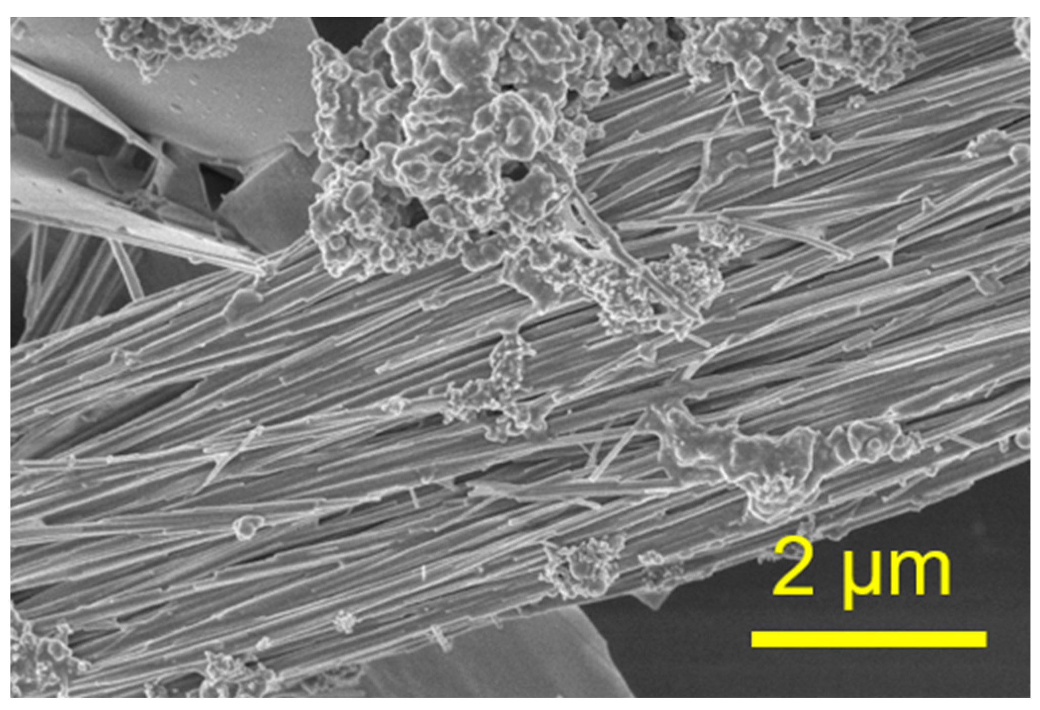Molecules 29 00549 g007