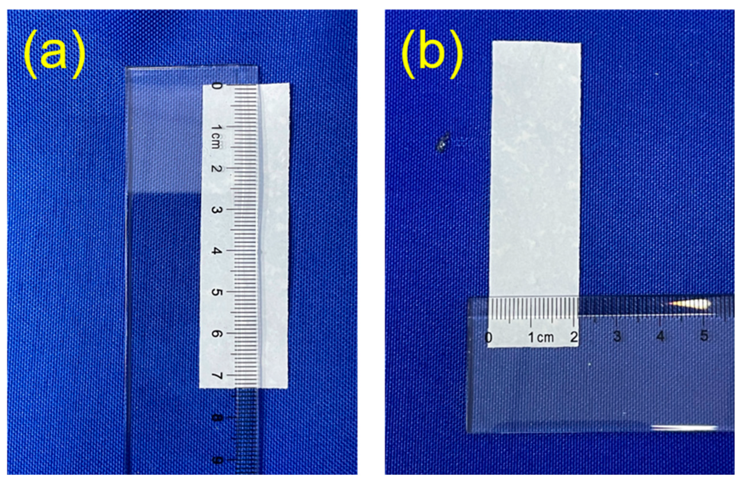 Molecules 29 00549 g009