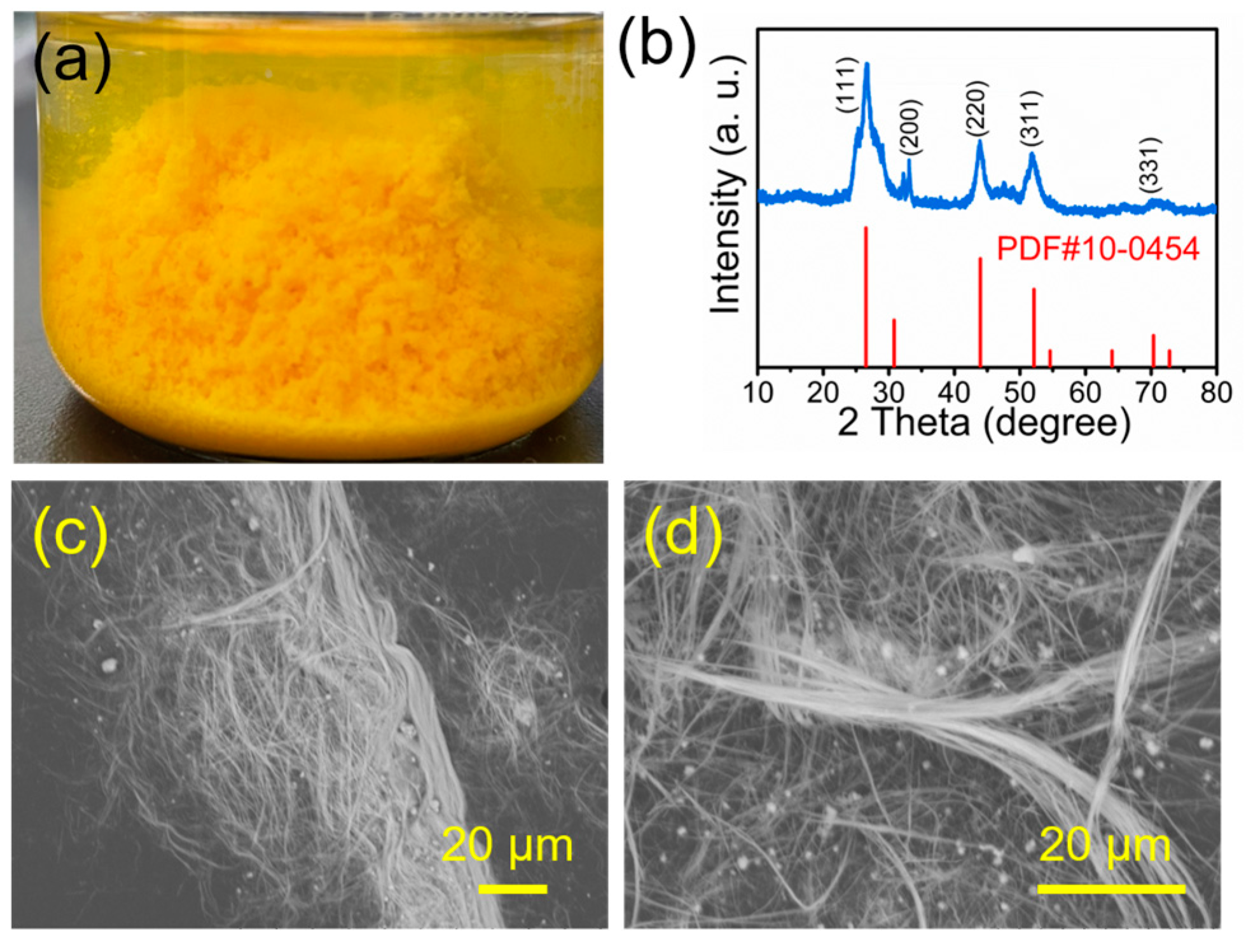 Molecules 29 00549 g011