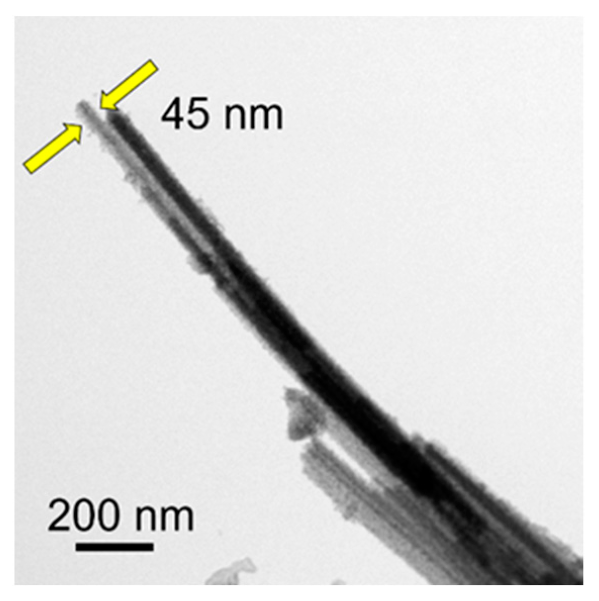 Molecules 29 00549 g012