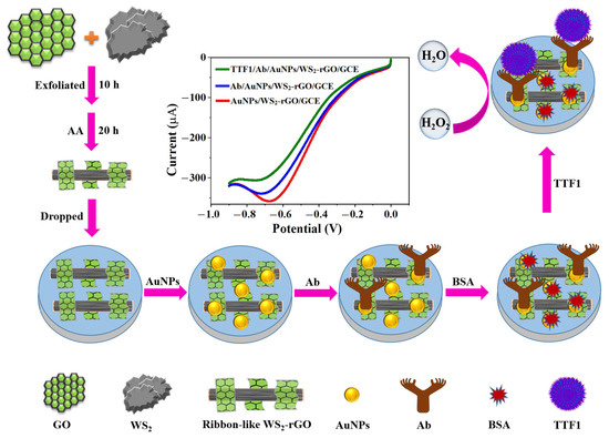 専用　Sサイズ5セット A Novel Label-Free Electrochemical Immunosensor for the