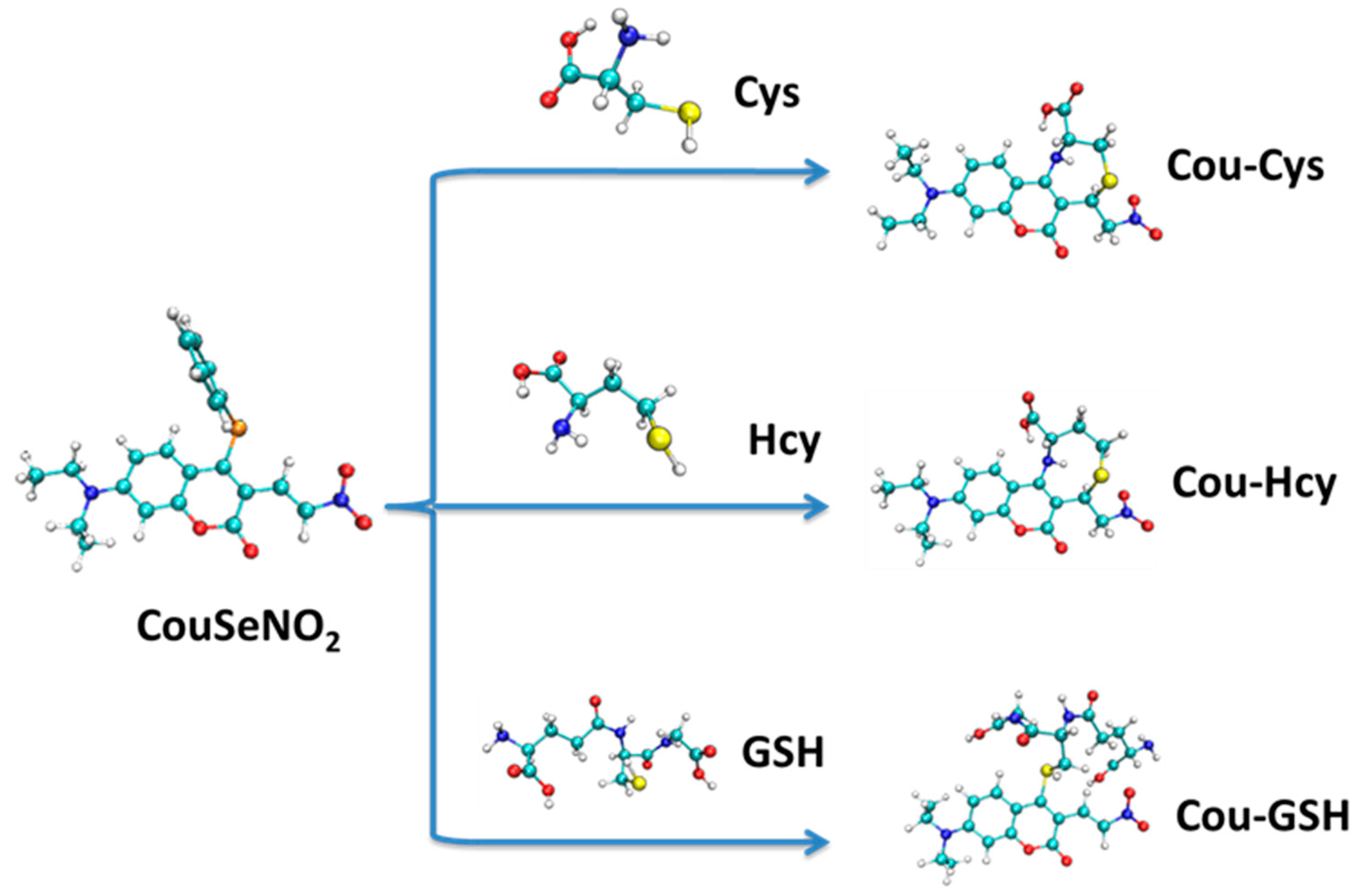 Molecules 29 00554 sch001