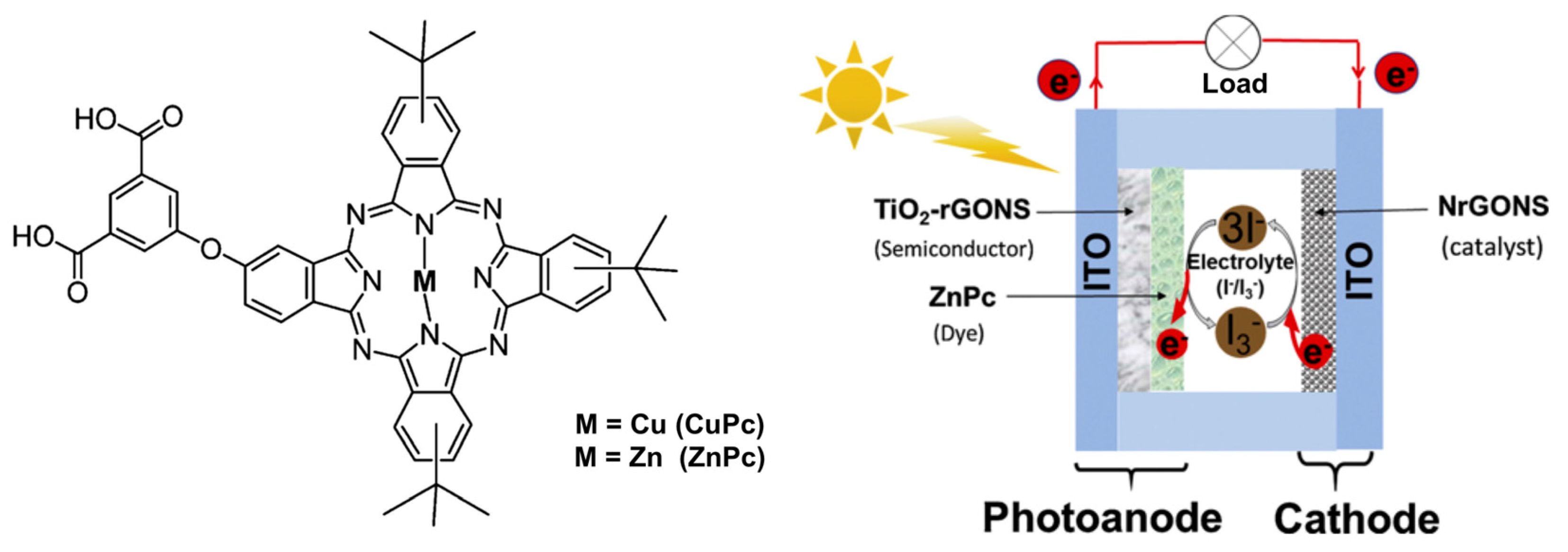 Molecules 29 00559 g007