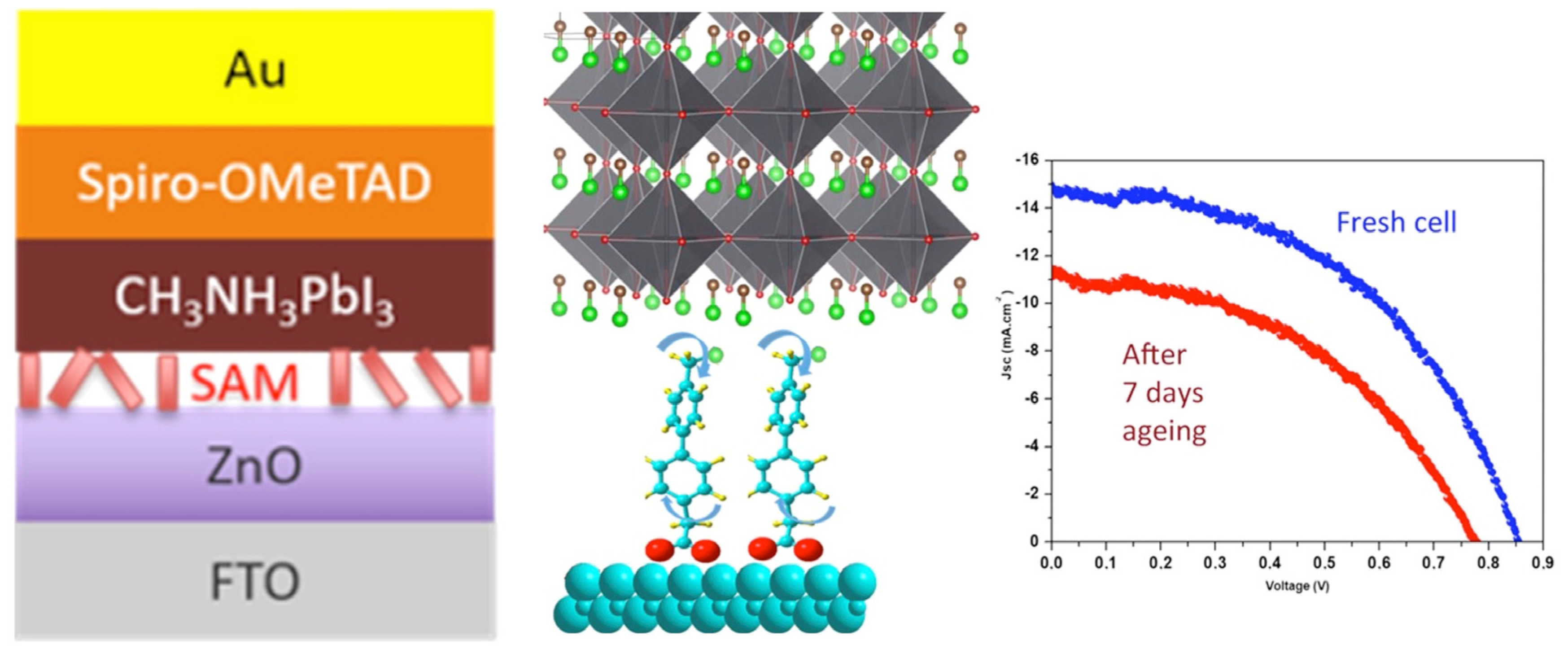 Molecules 29 00559 g010