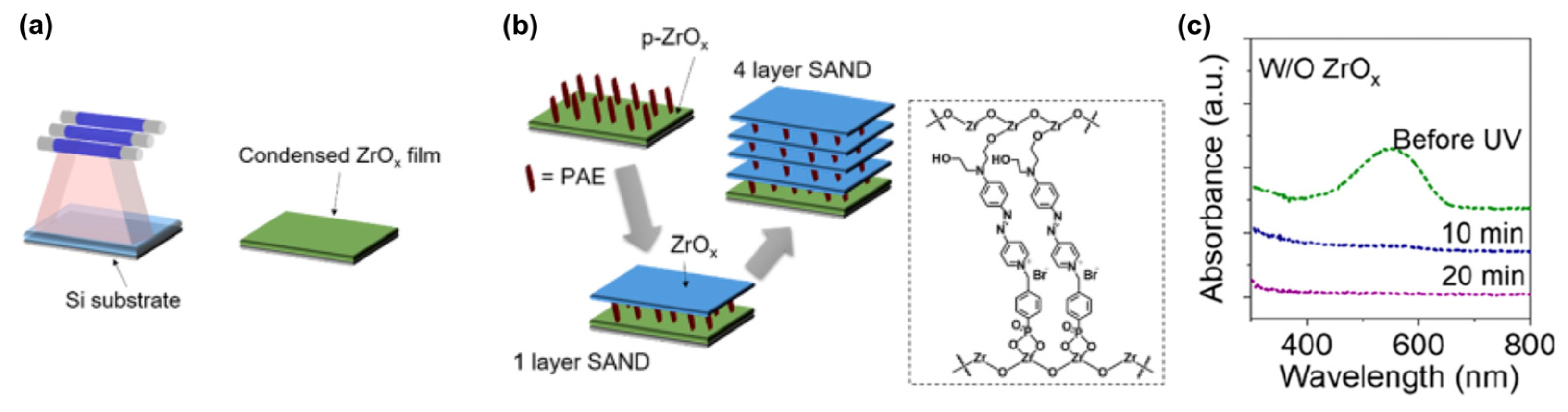 Molecules 29 00559 g016