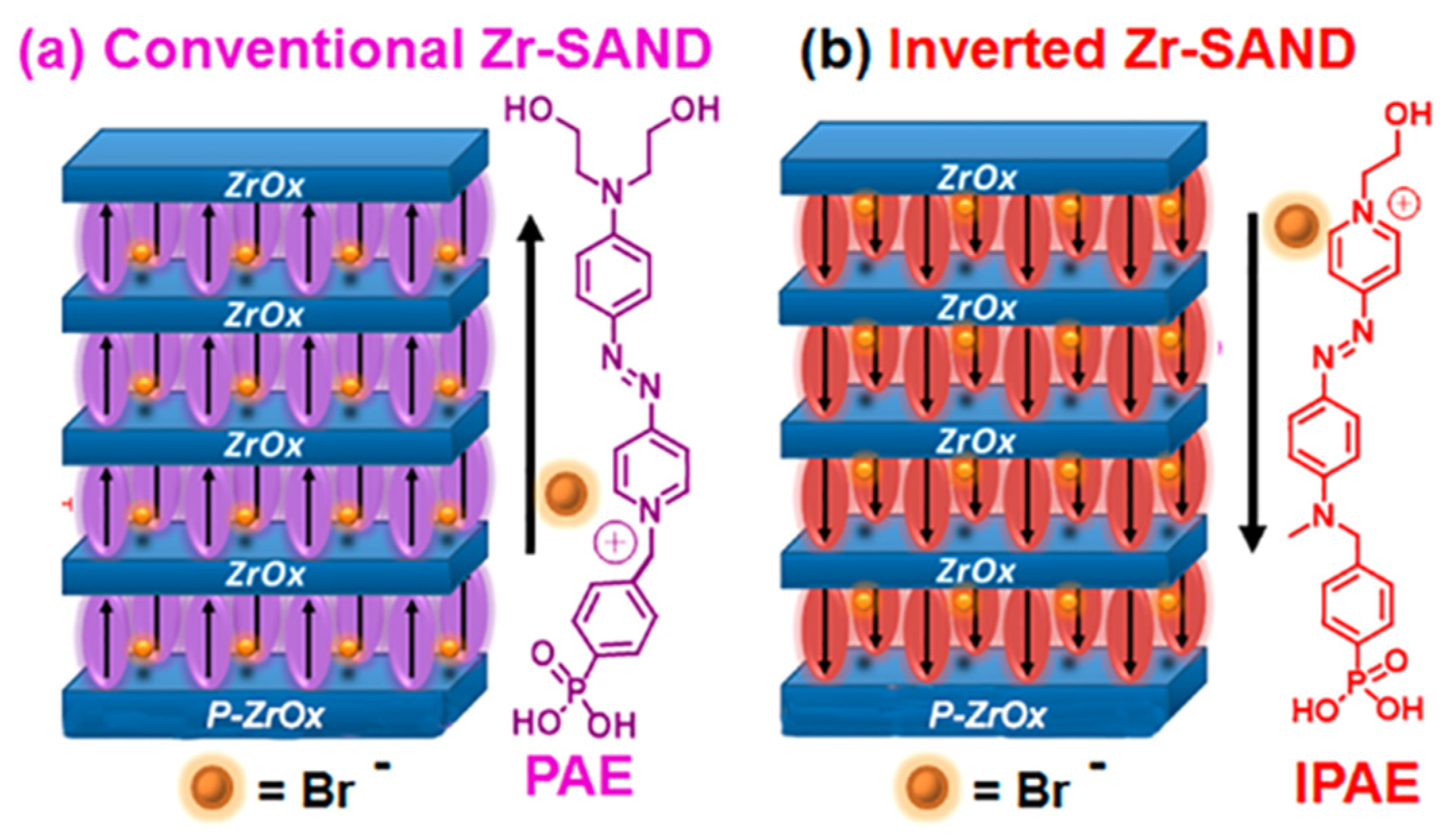 Molecules 29 00559 g017