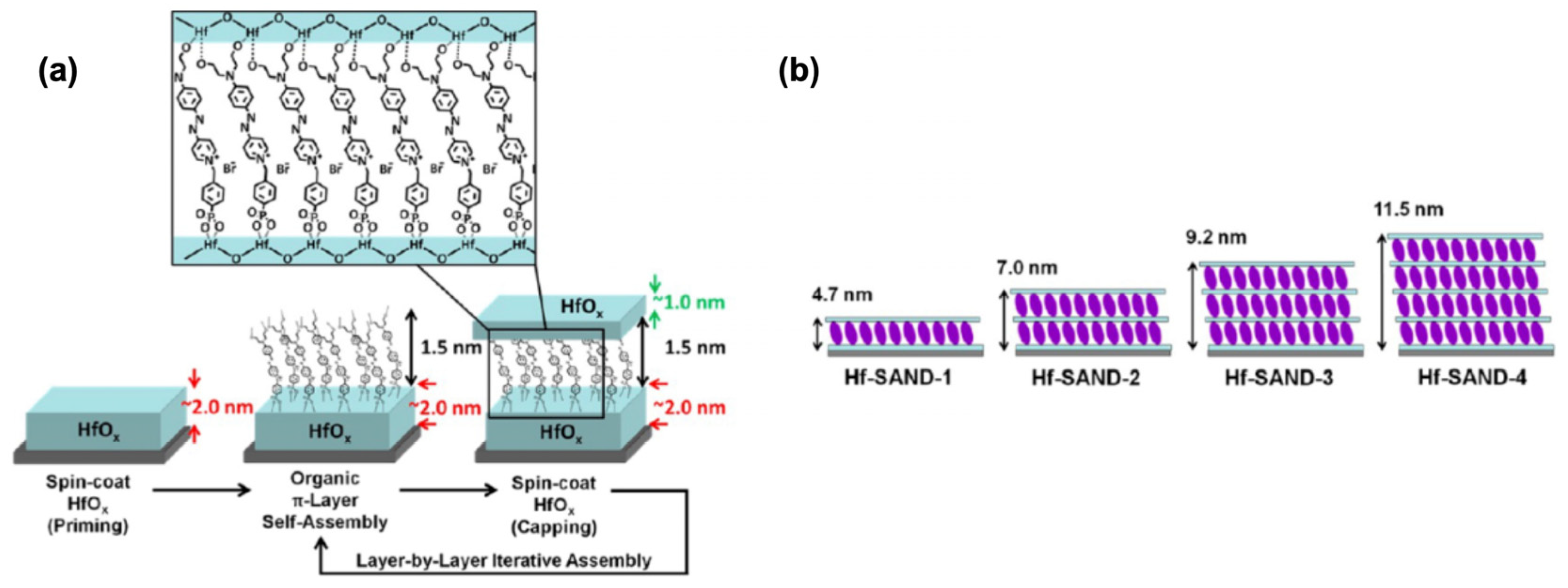 Molecules 29 00559 g018