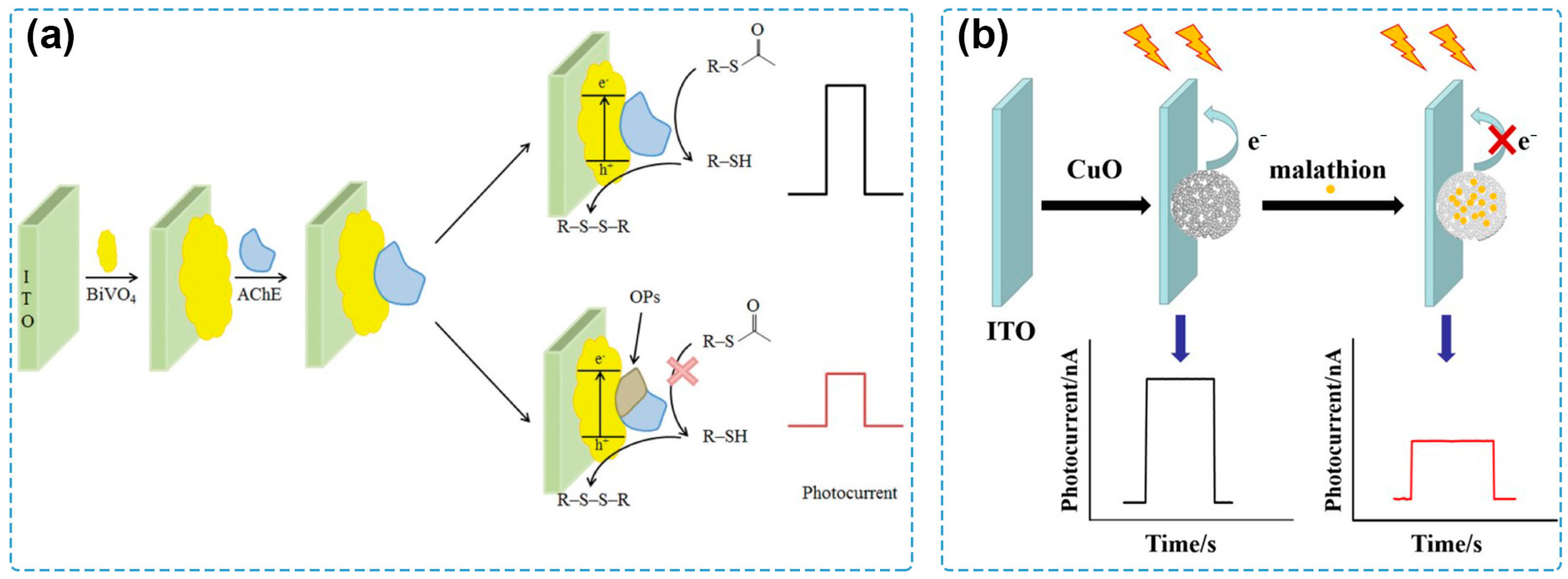 Molecules 29 00560 g002